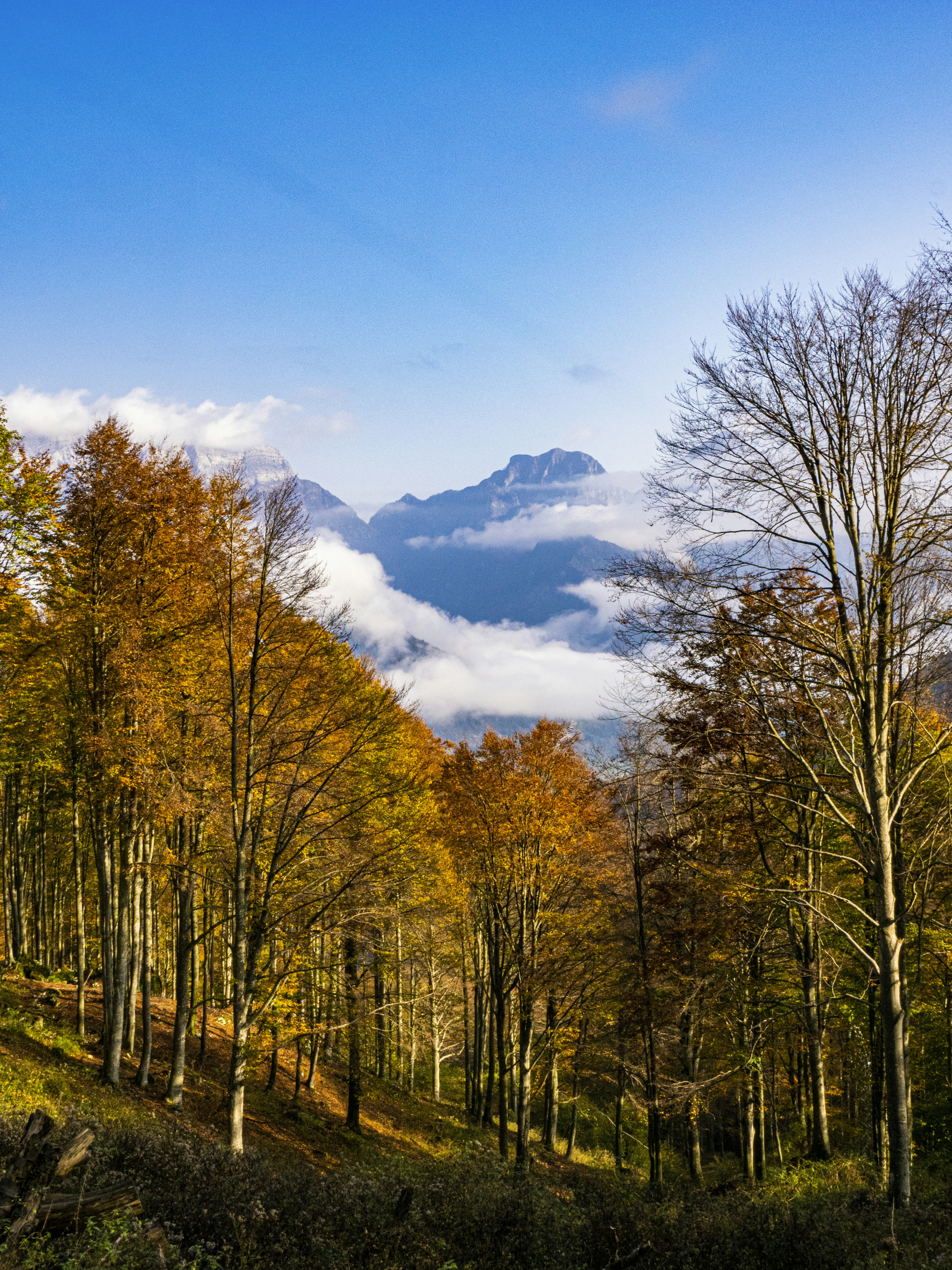 Photo by gopitri_prem