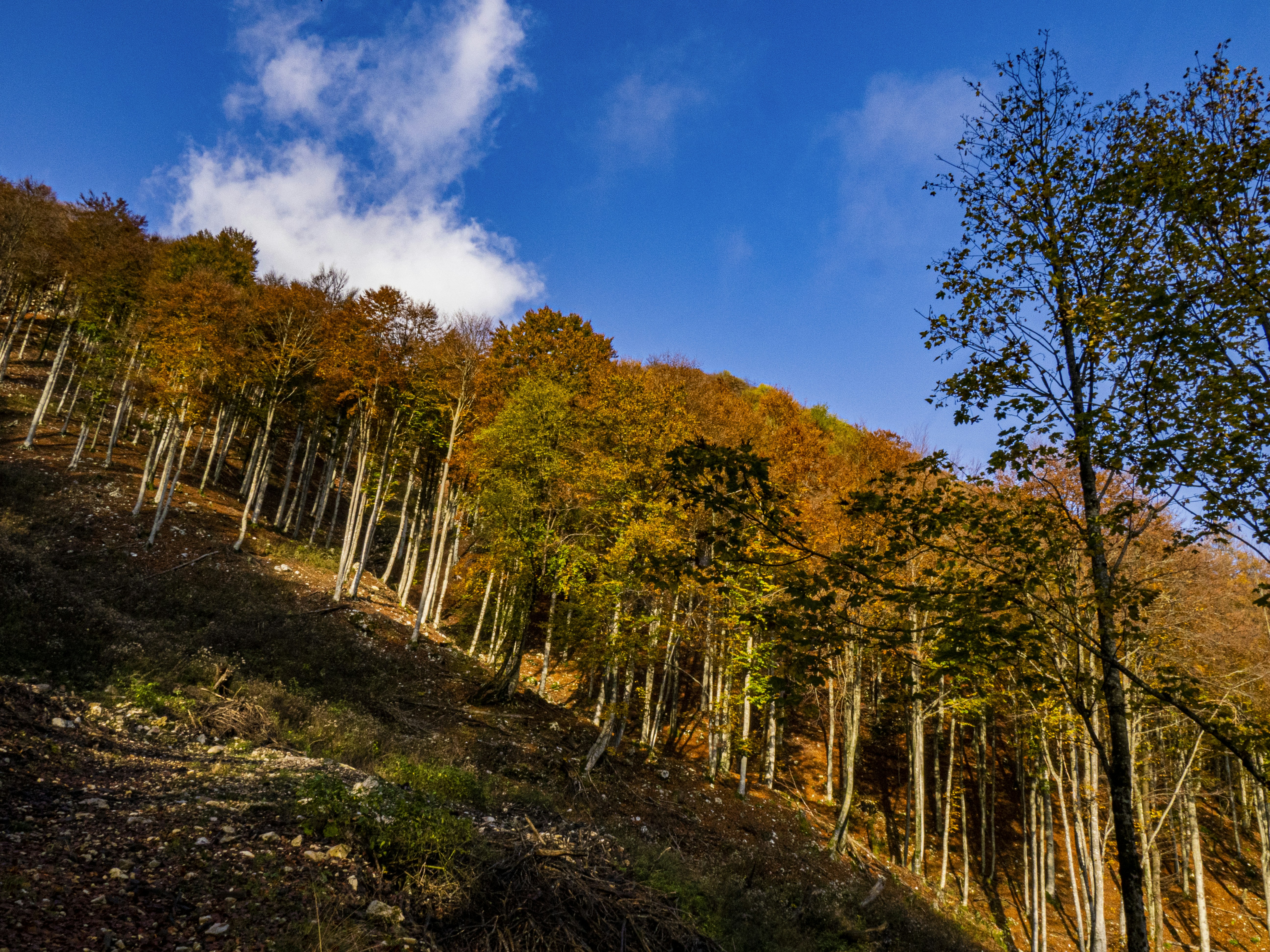 Photo by gopitri_prem