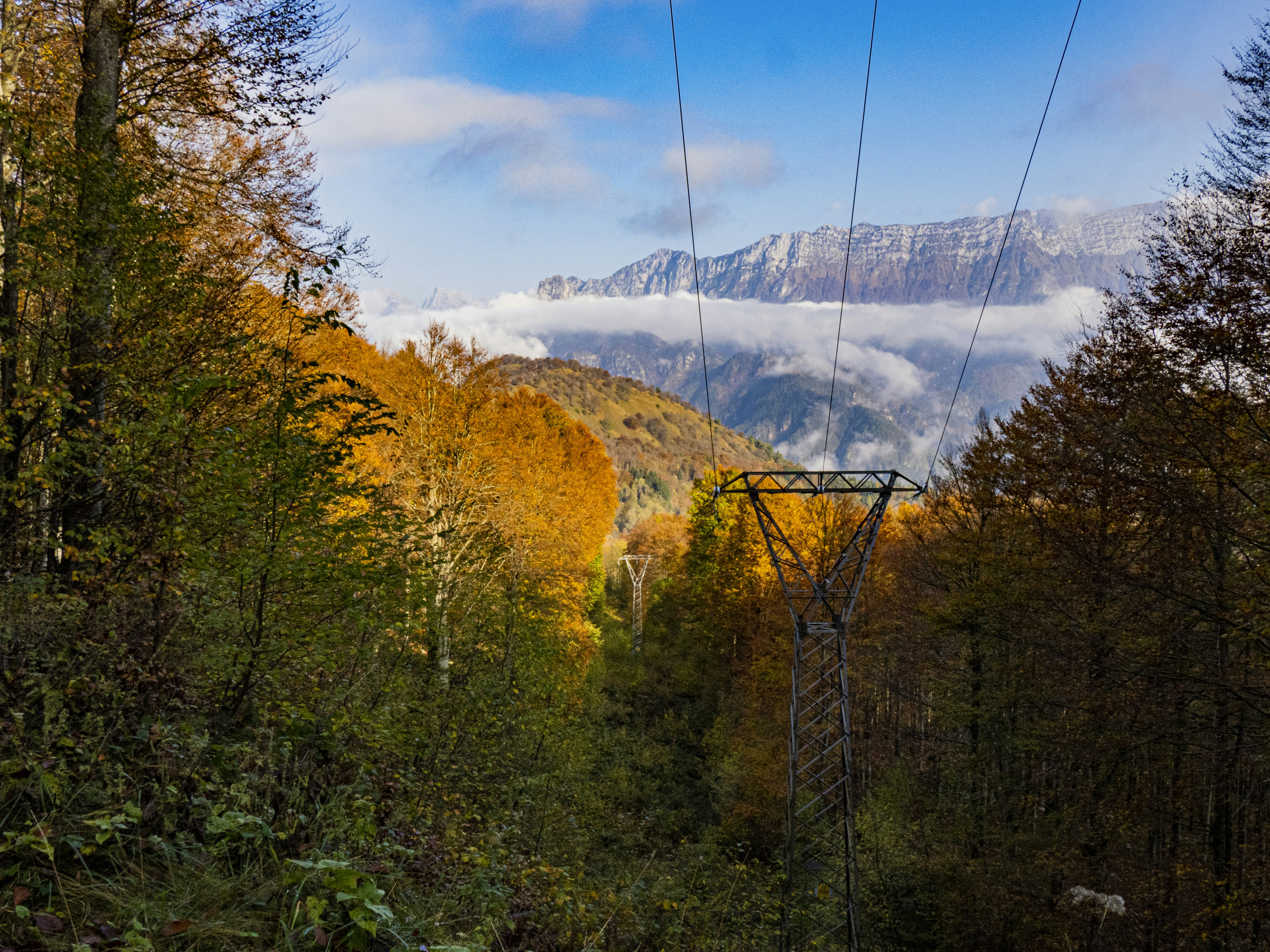 Image by Diego Romeo via Unsplash