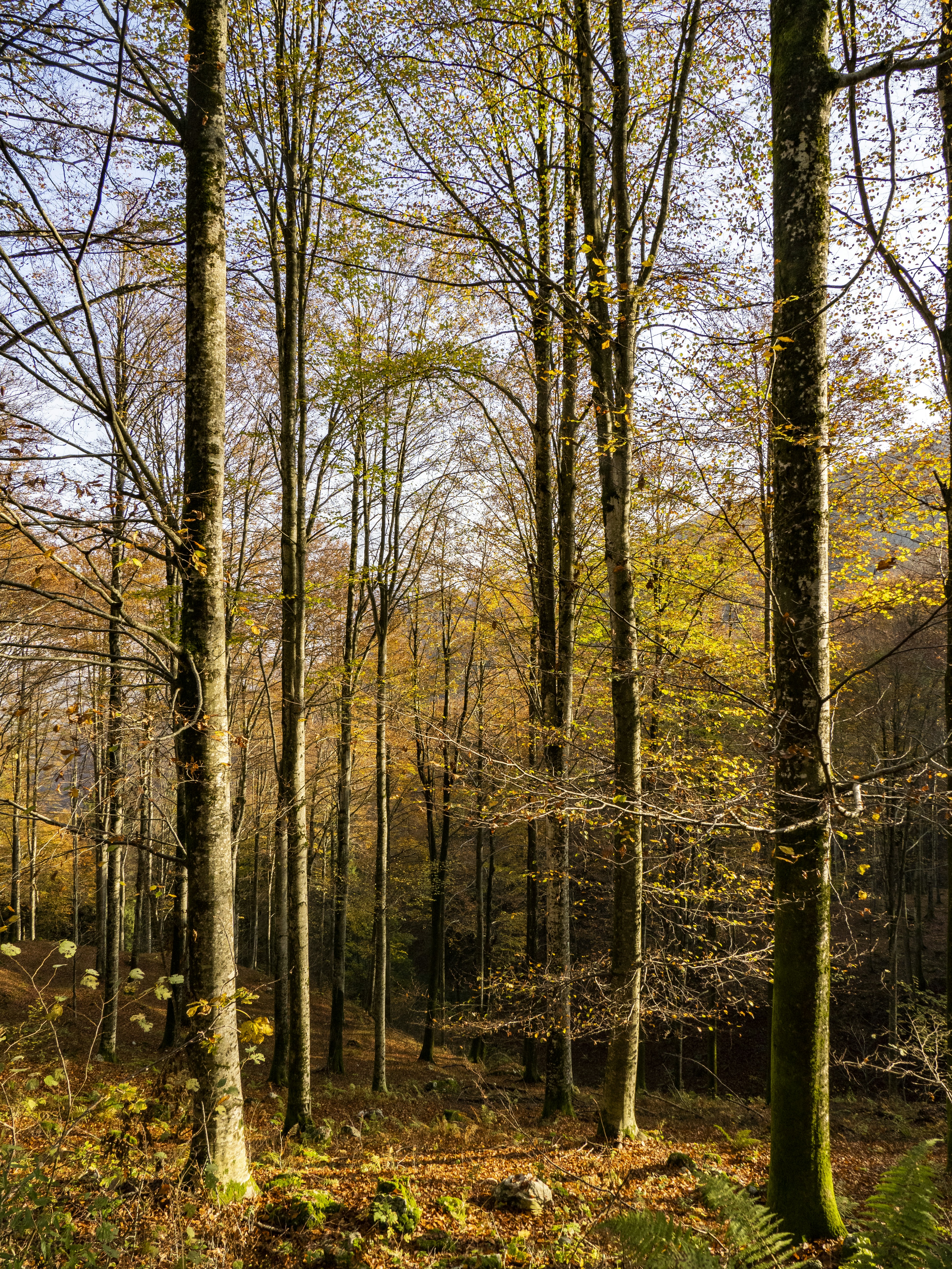 Photo by gopitri_prem