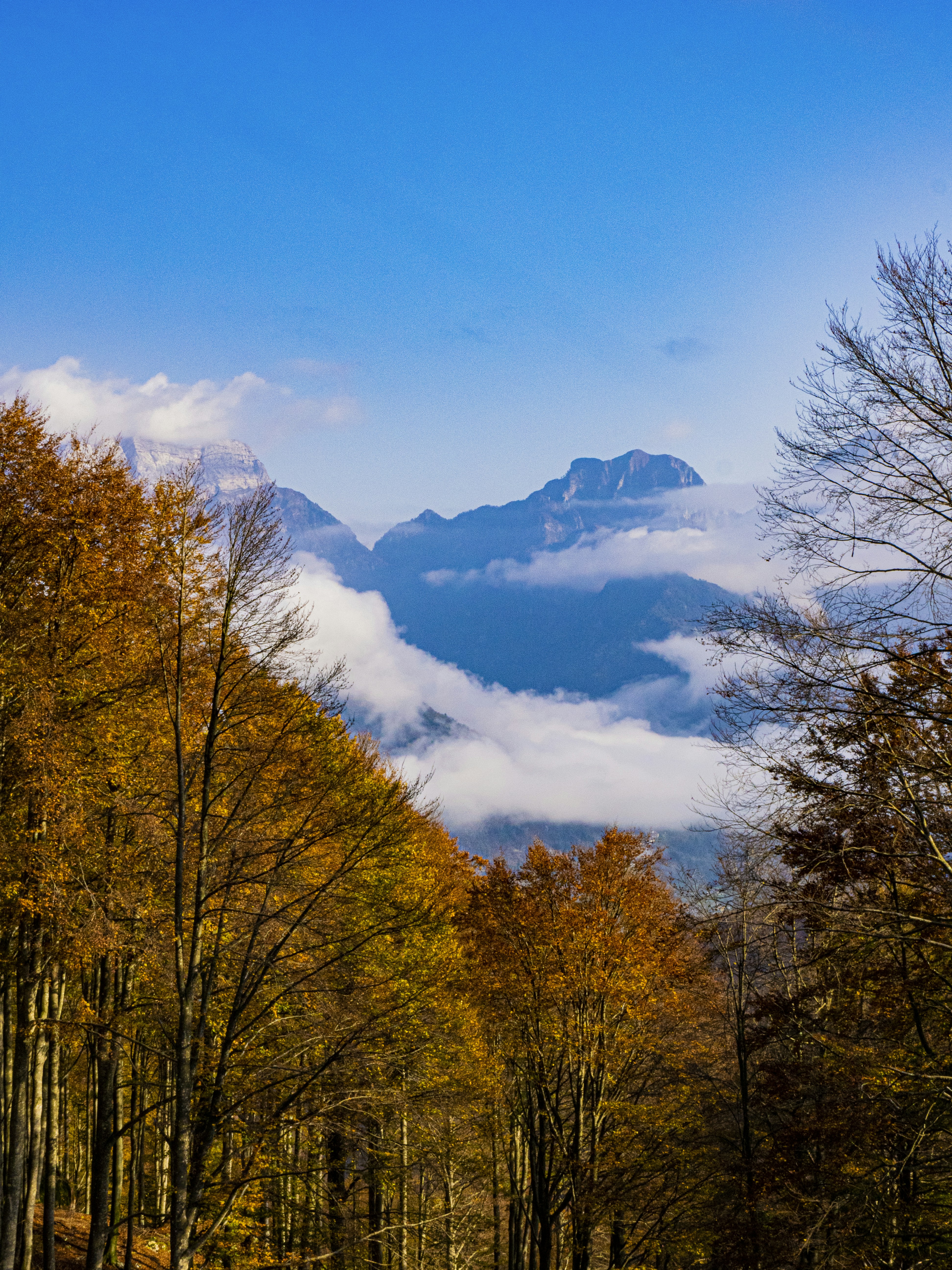 Photo by gopitri_prem