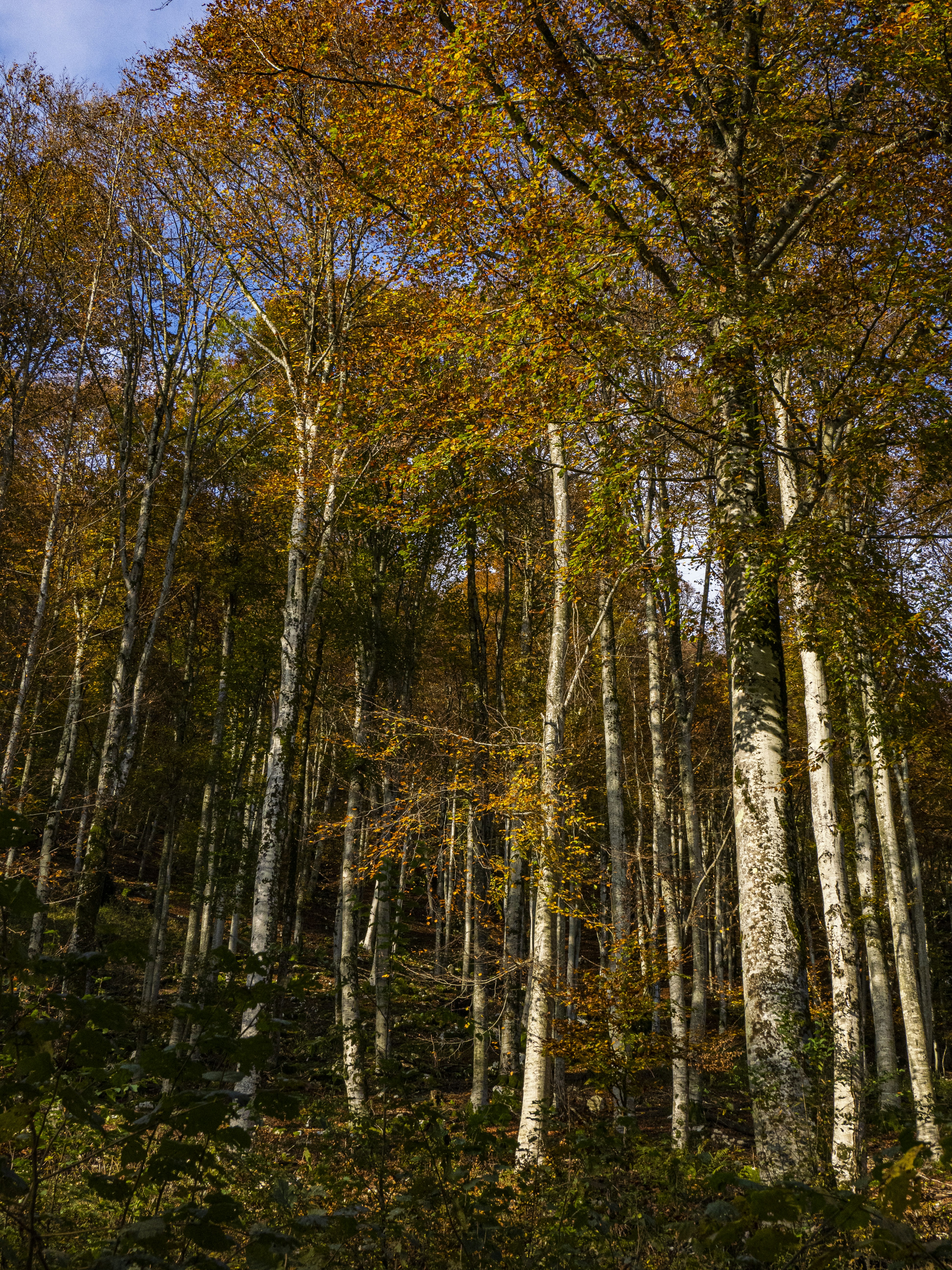 Photo by gopitri_prem