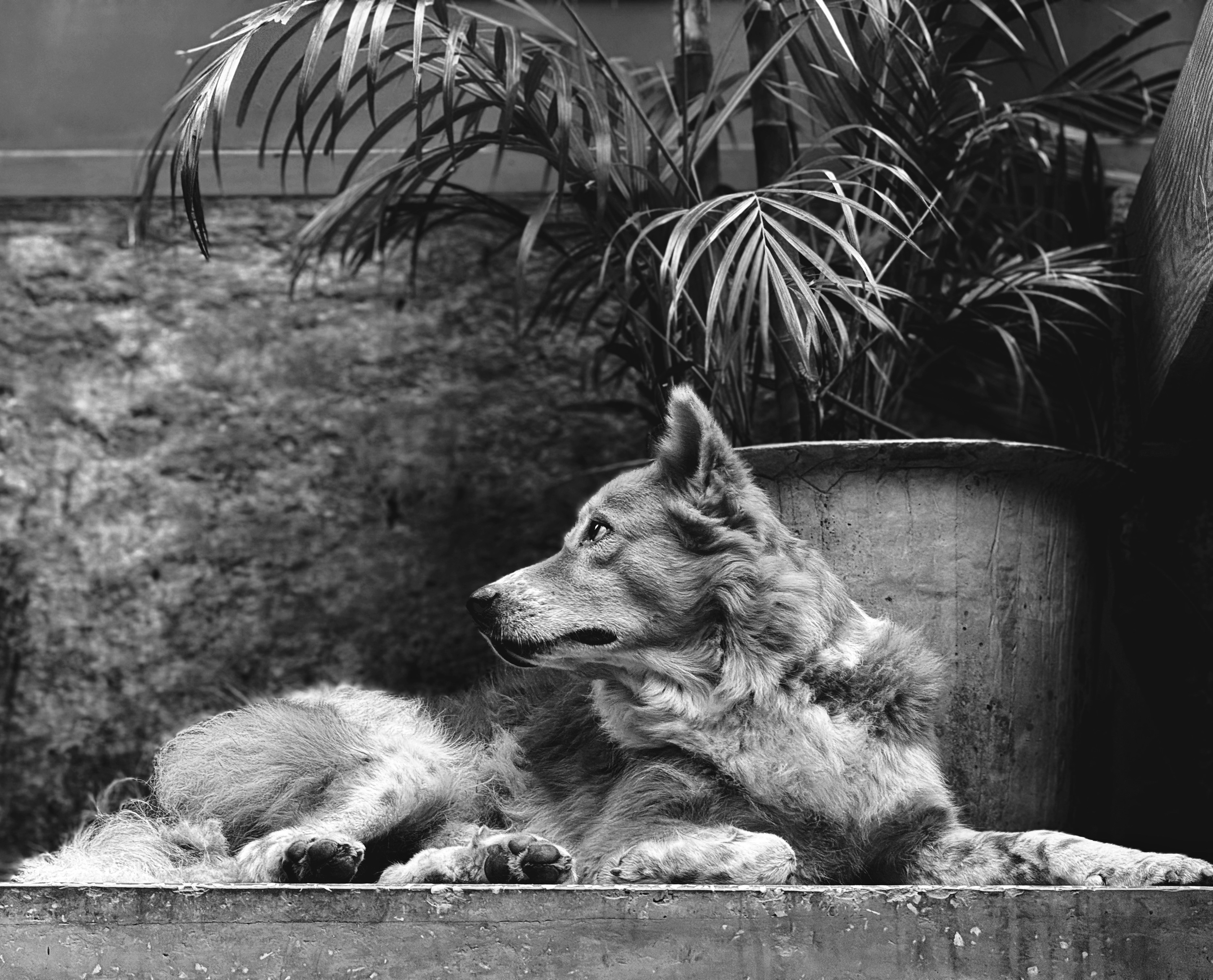 Photo by _anubhavarora