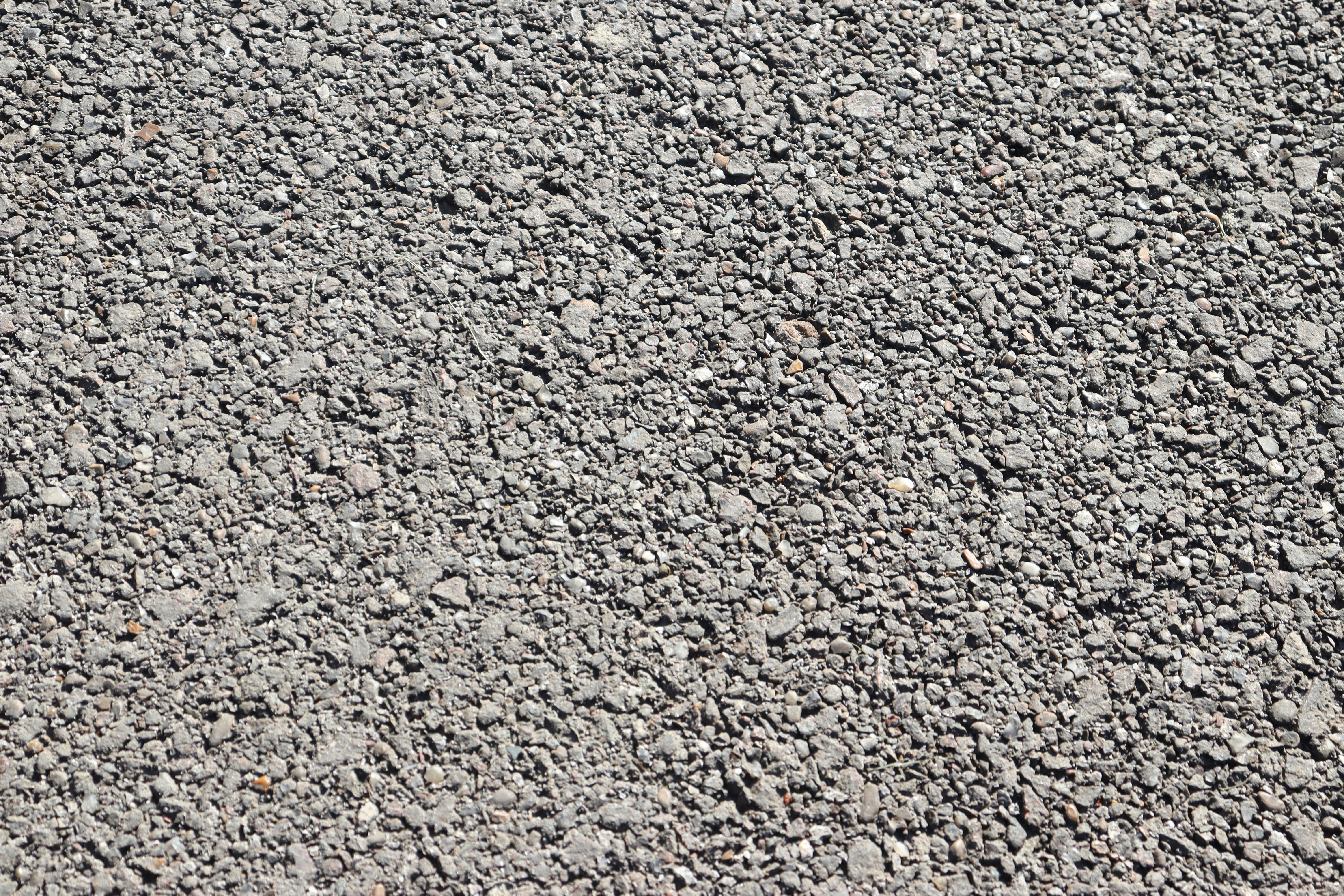 Photo by bored_mongoose