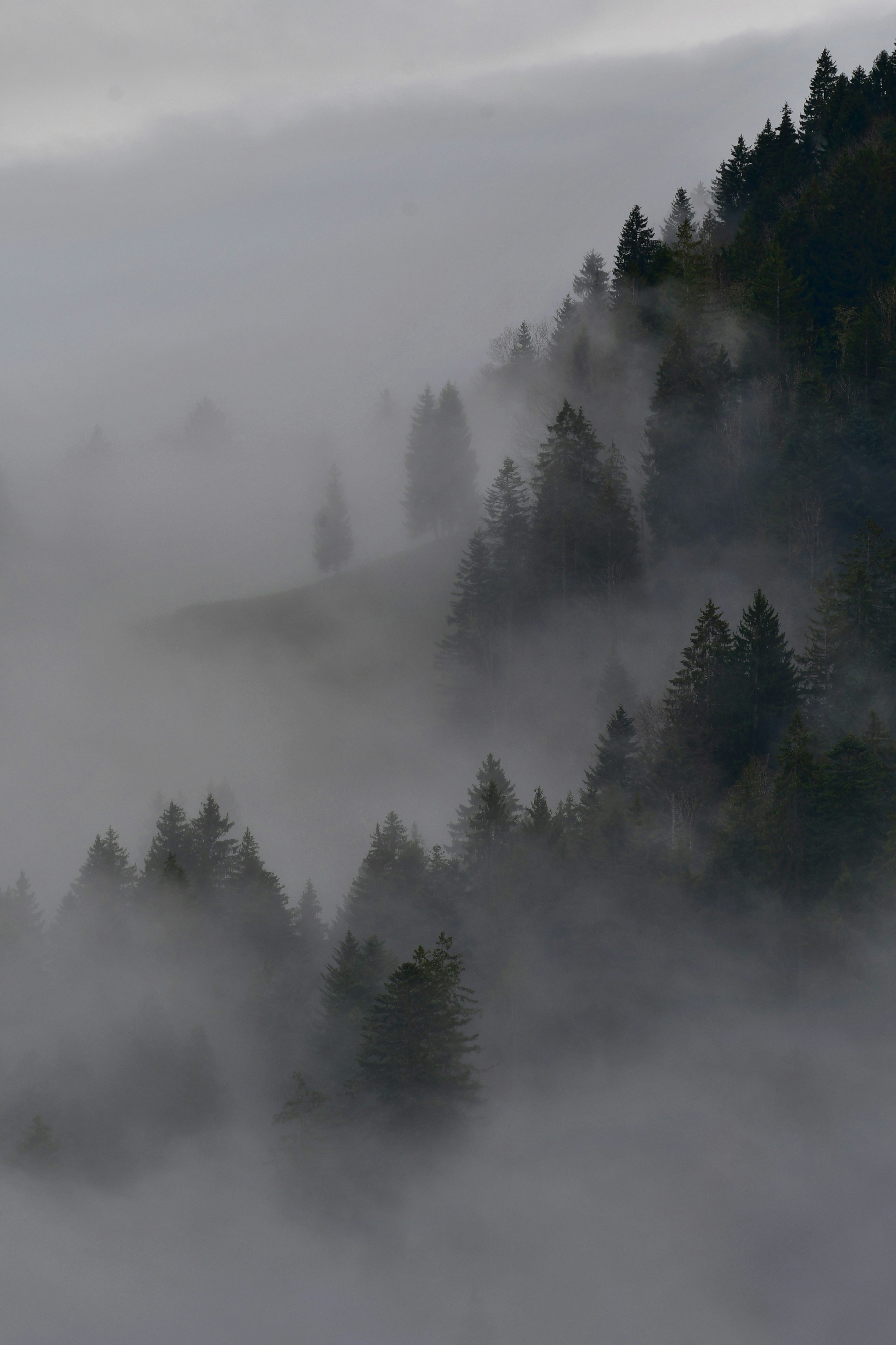 Photo by pedrino5_official