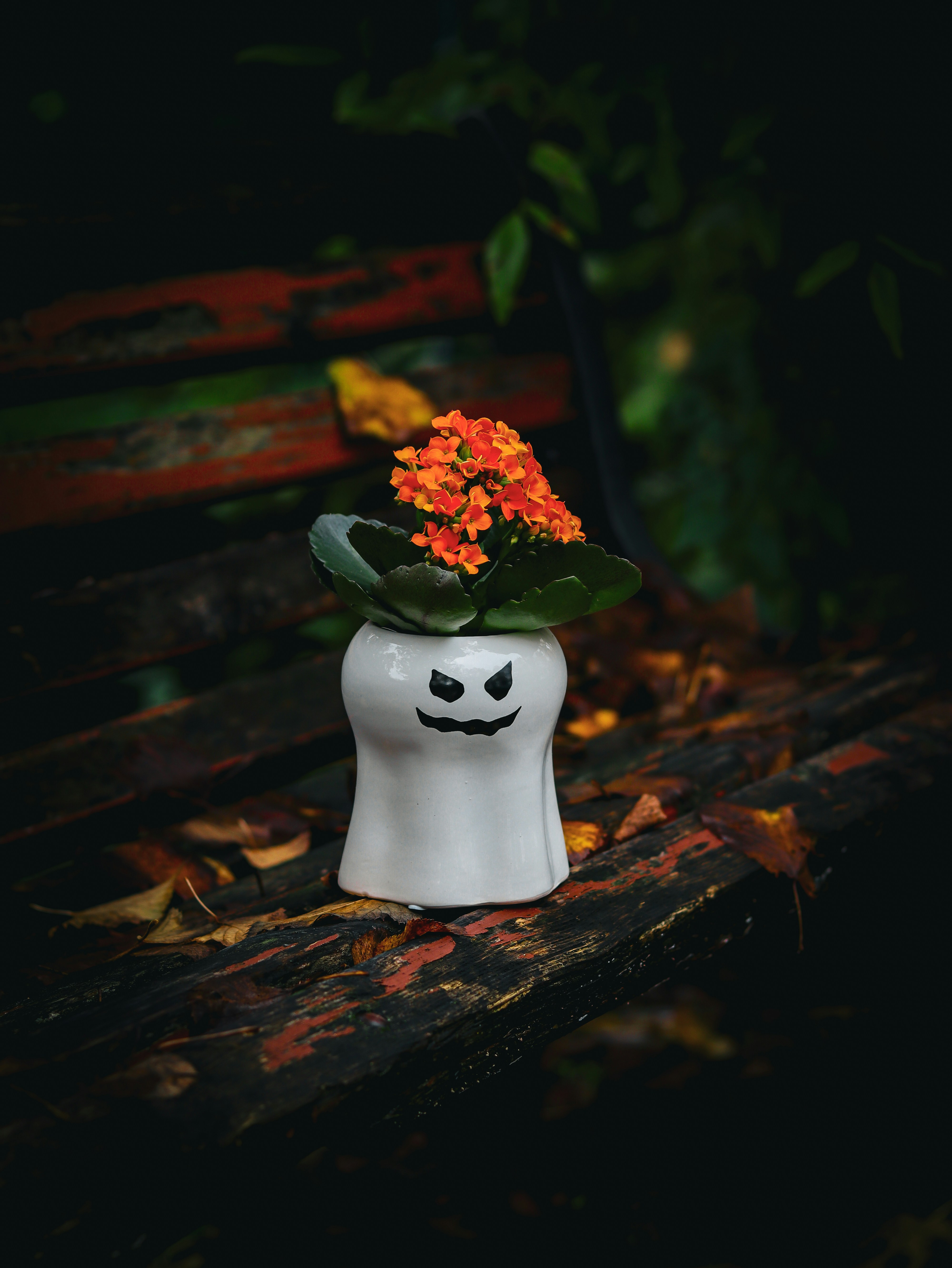 Um vaso branco com flores sentado em um banco