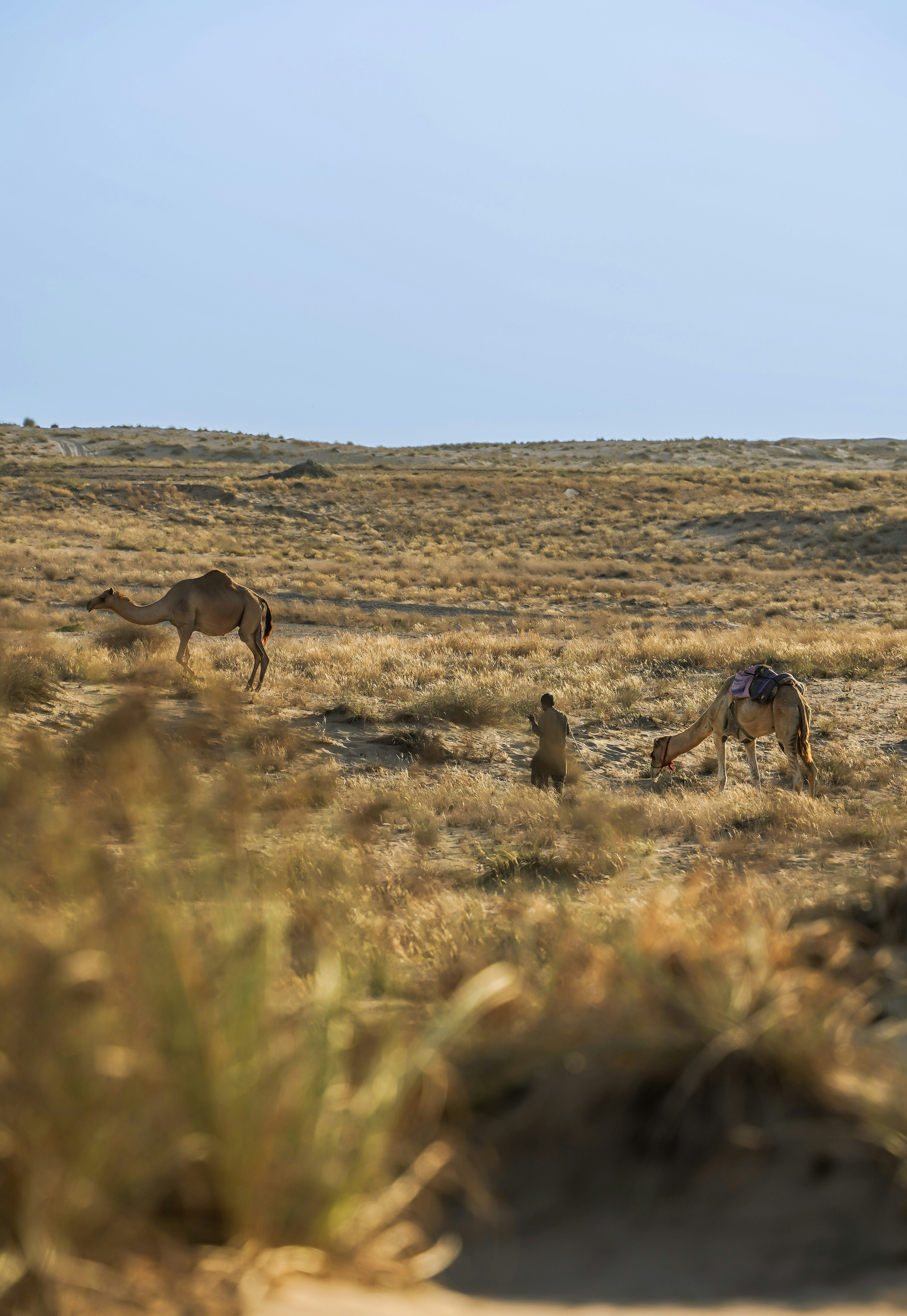 Photo by advantageous_digital