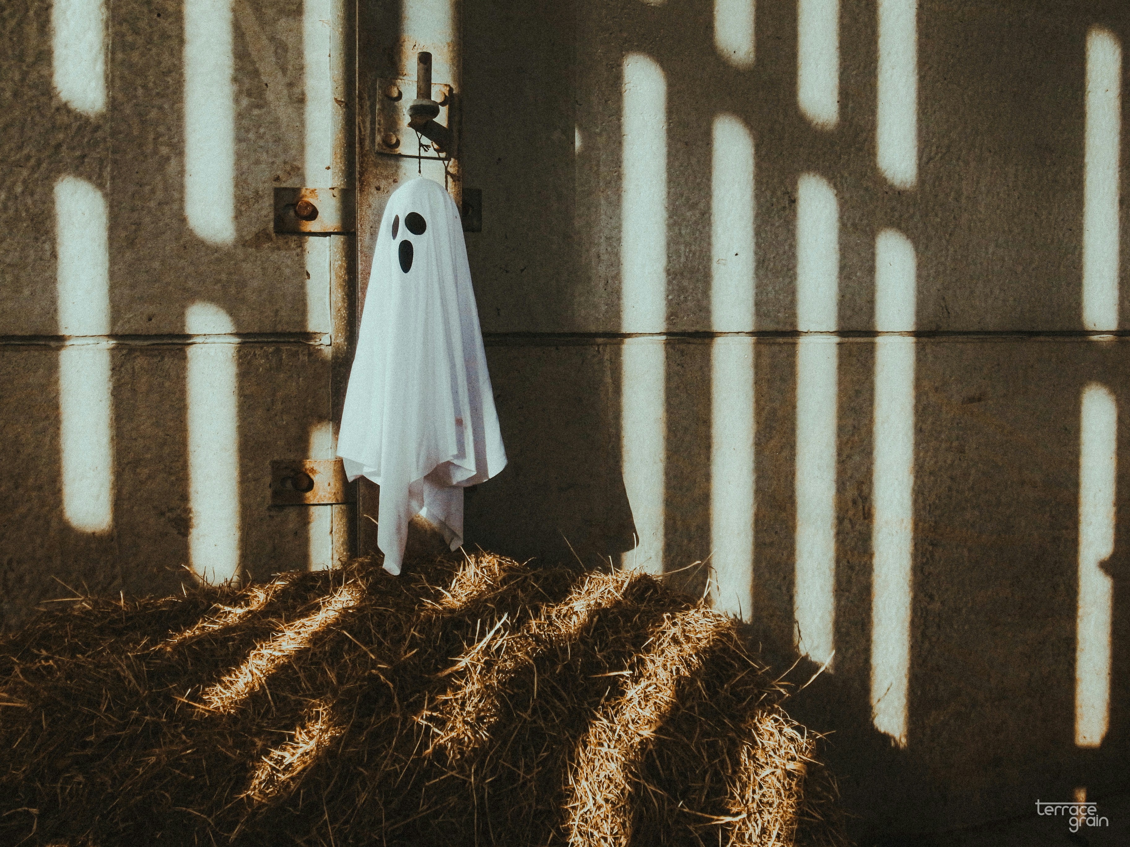 Turning Regret Into Lessons