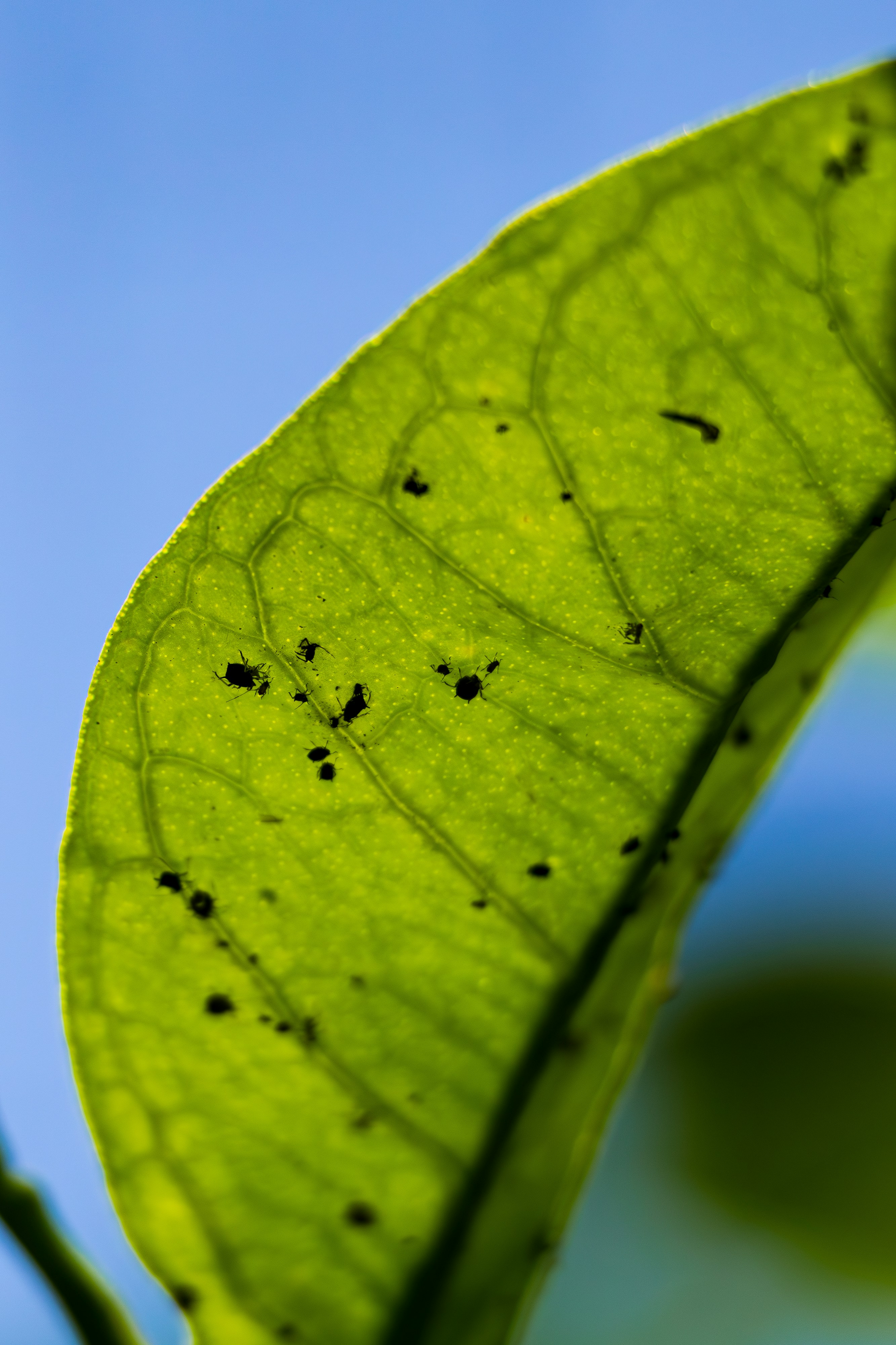 Photo by matheuskprot