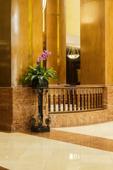 A lobby with a plant in the middle of it