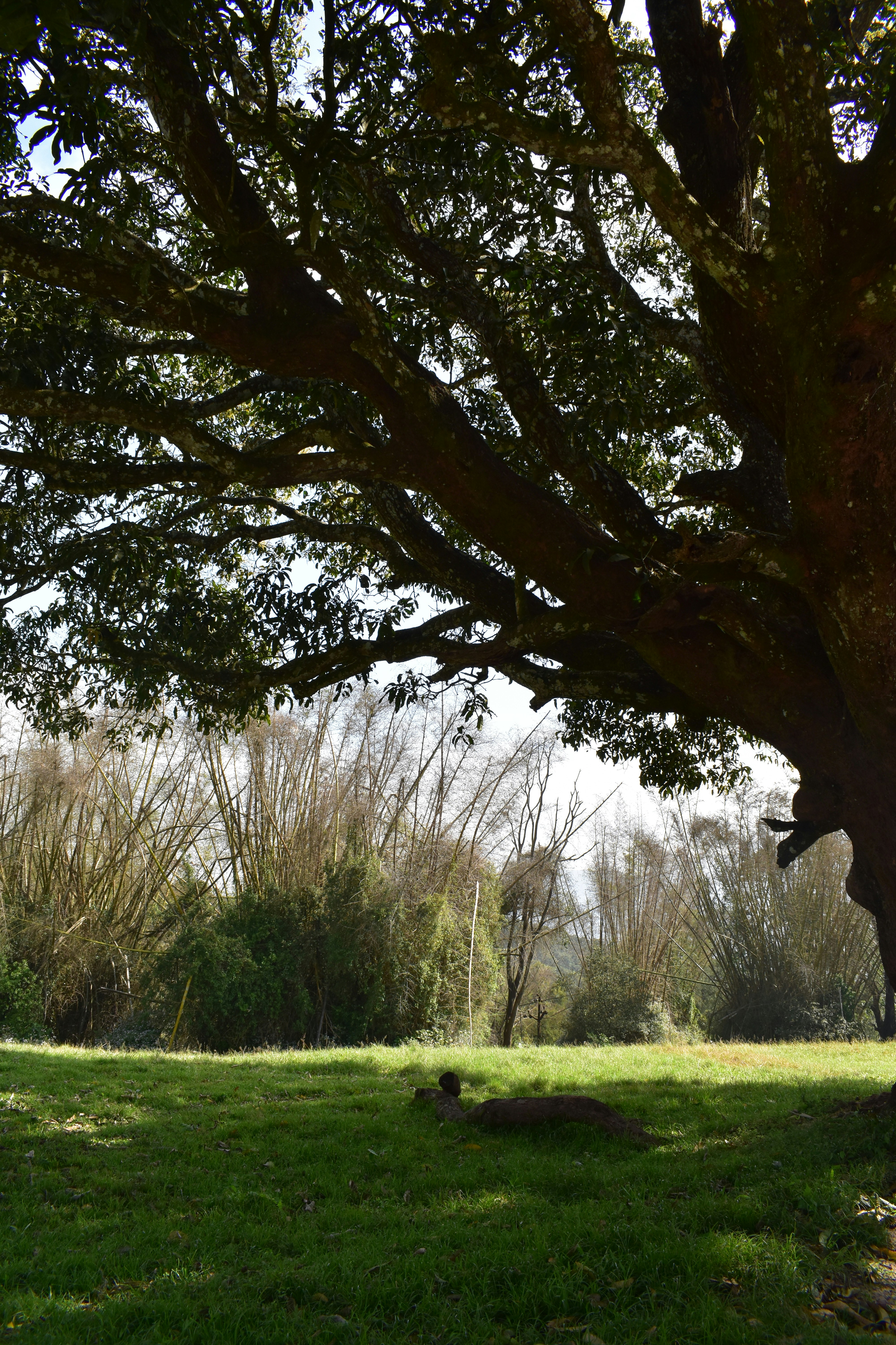 Photo by namithavinod