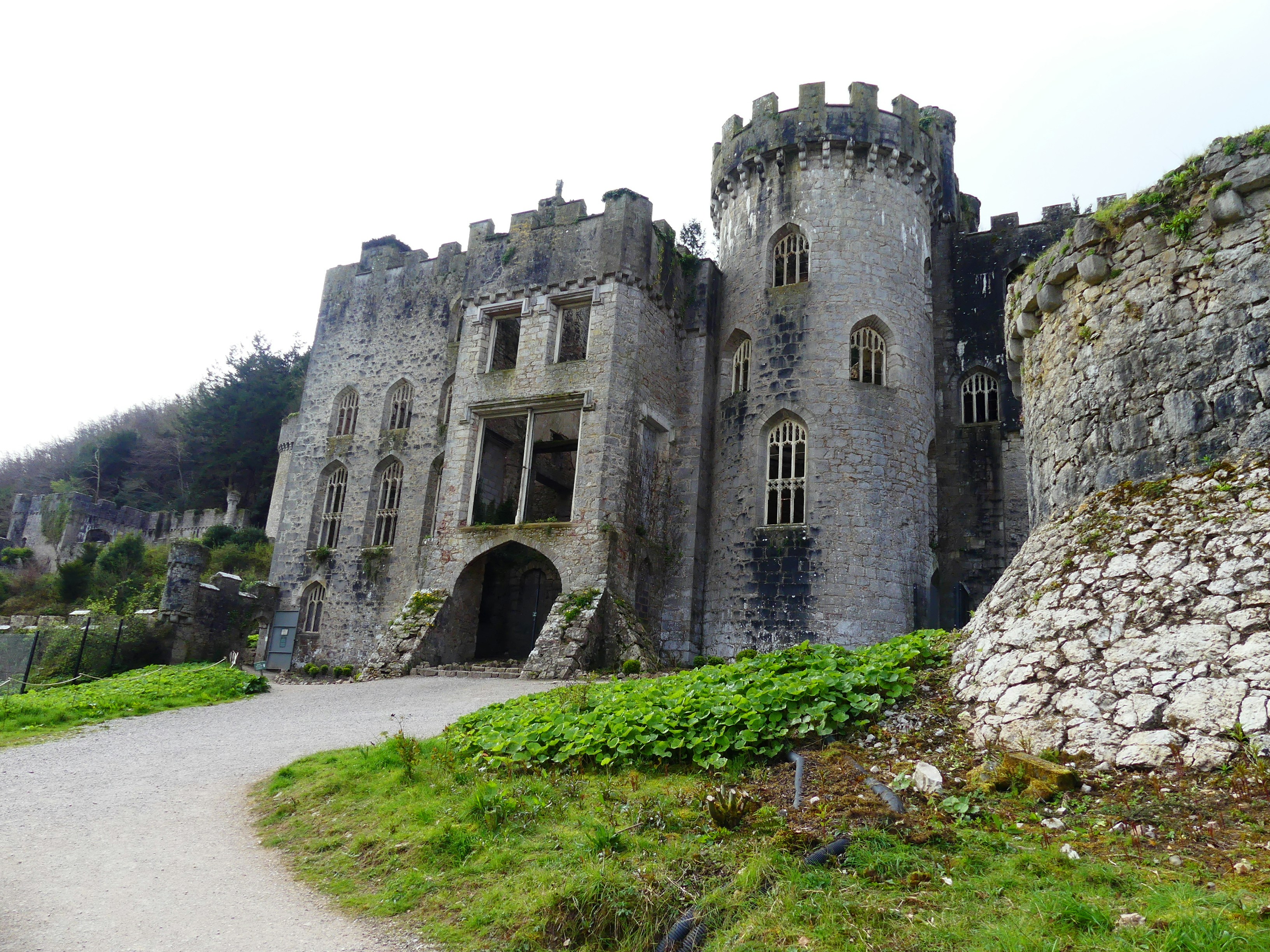 Photo by sophiespree