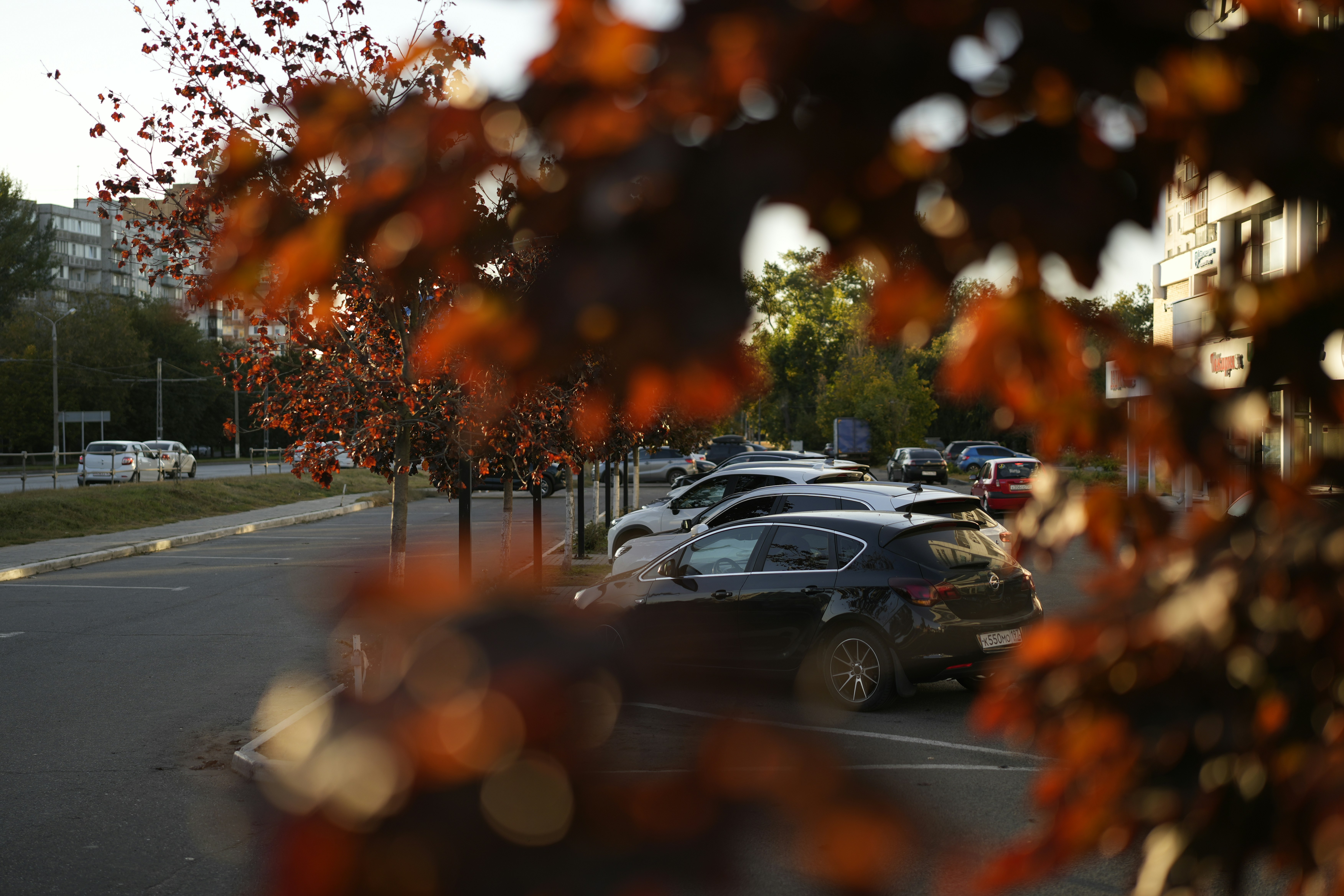 From Seasonal to Permanent: How to Land a Full-Time Job