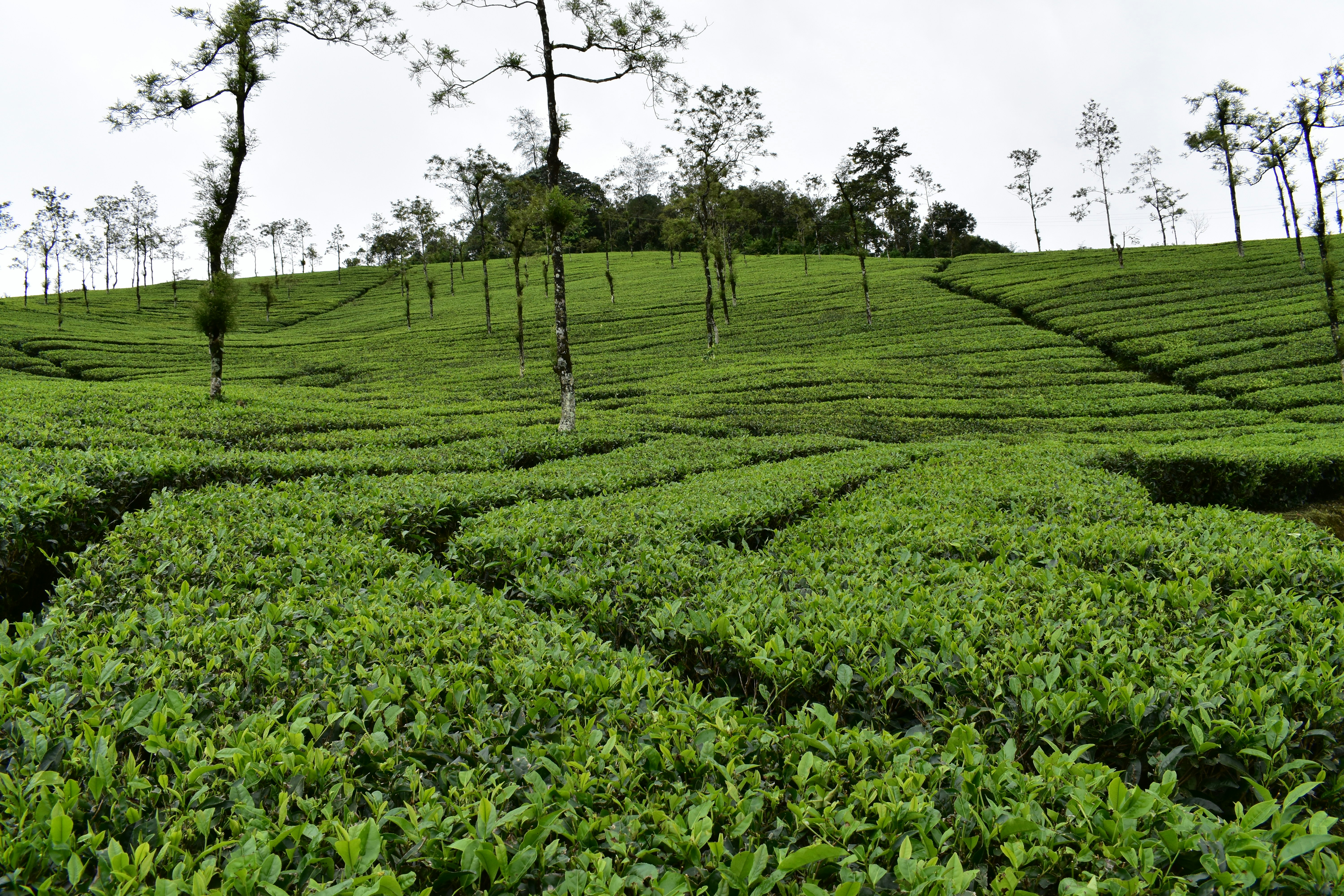 Photo by namithavinod