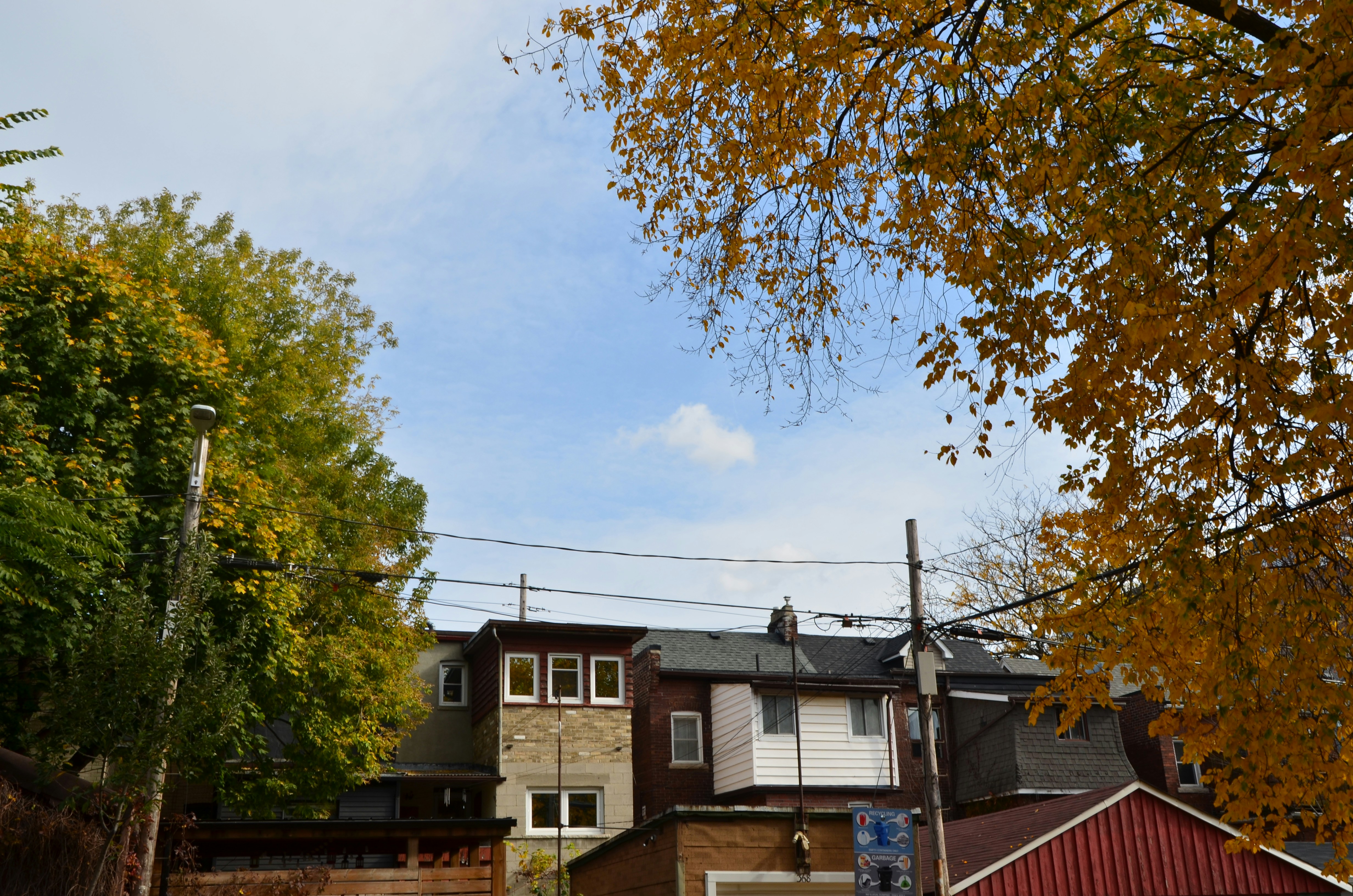 Photo by patroltheark