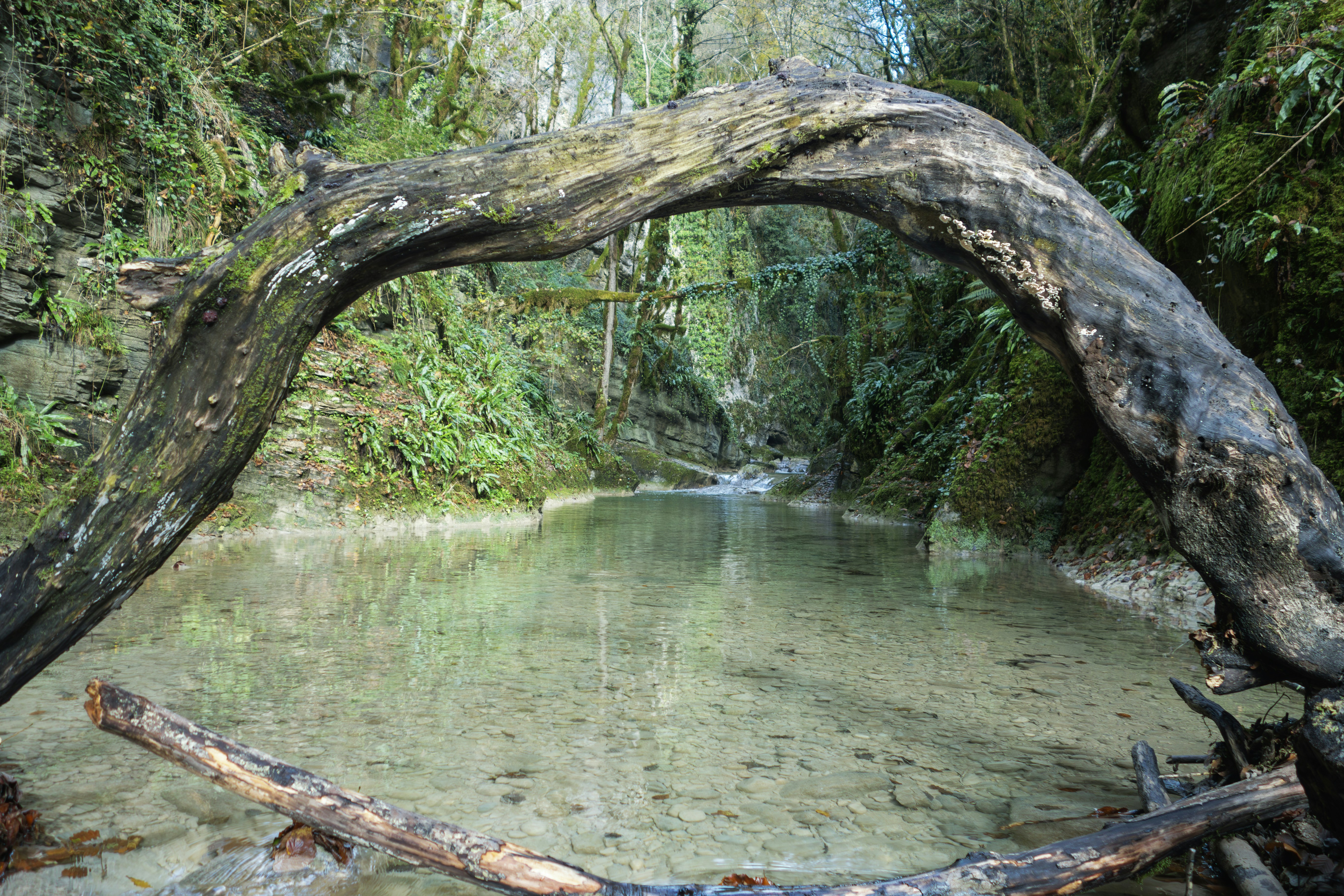 How Water Carved Wisconsin's Natural Bridge Arch Over 100,000 Years - Wisconsin Natural Bridge arch
