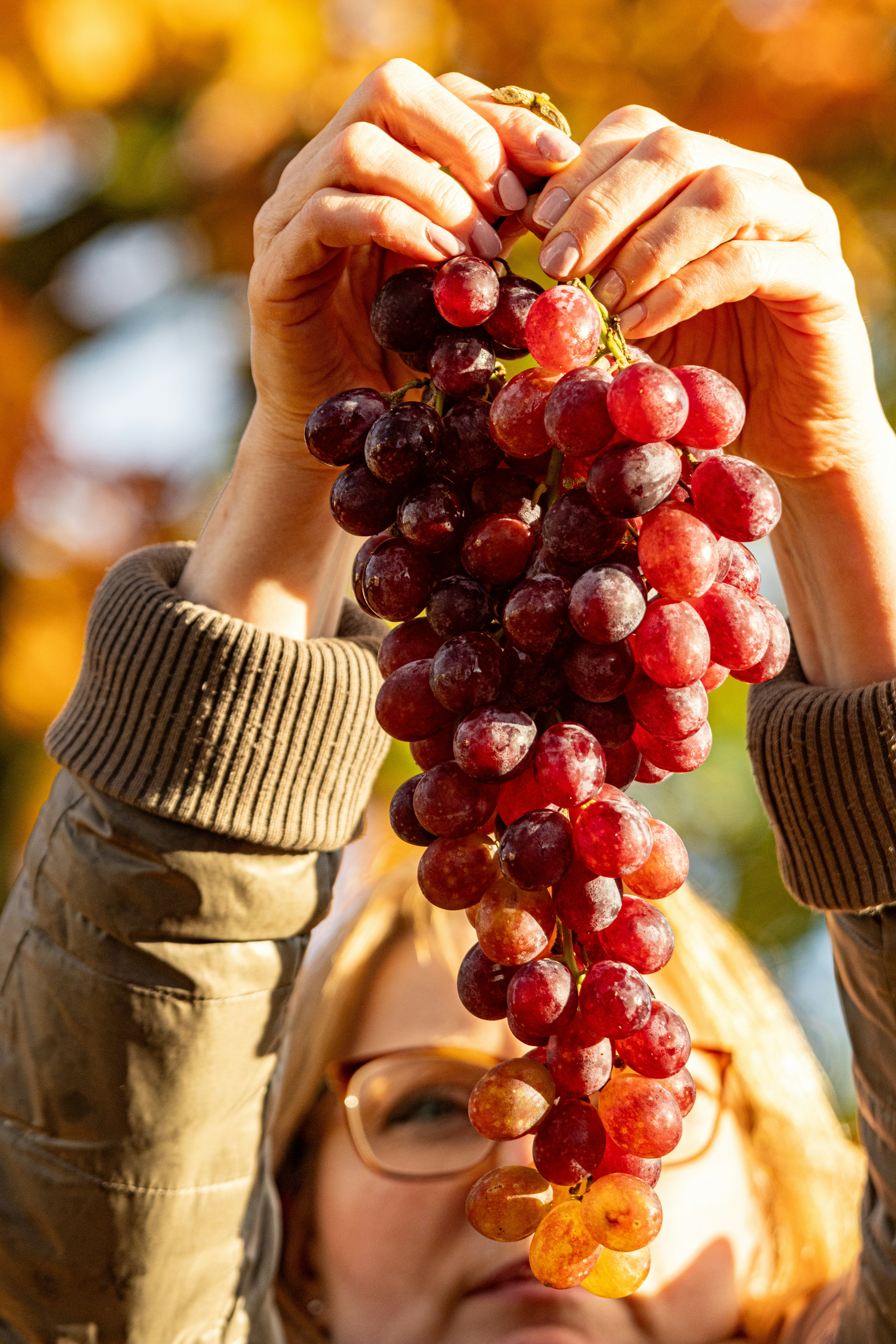 A woman holding a bunch of grapes up to her face