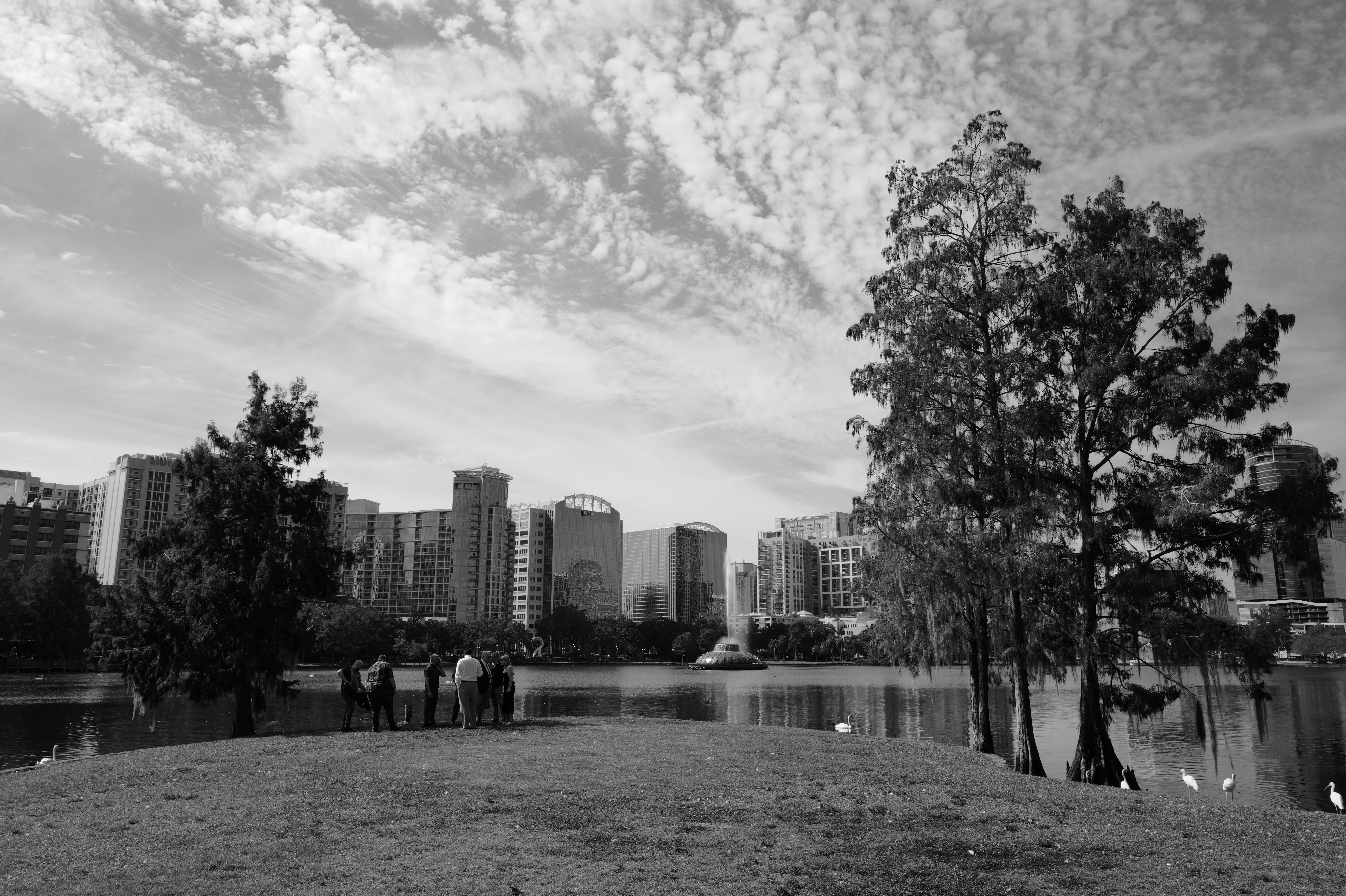 Photo by thephotochad