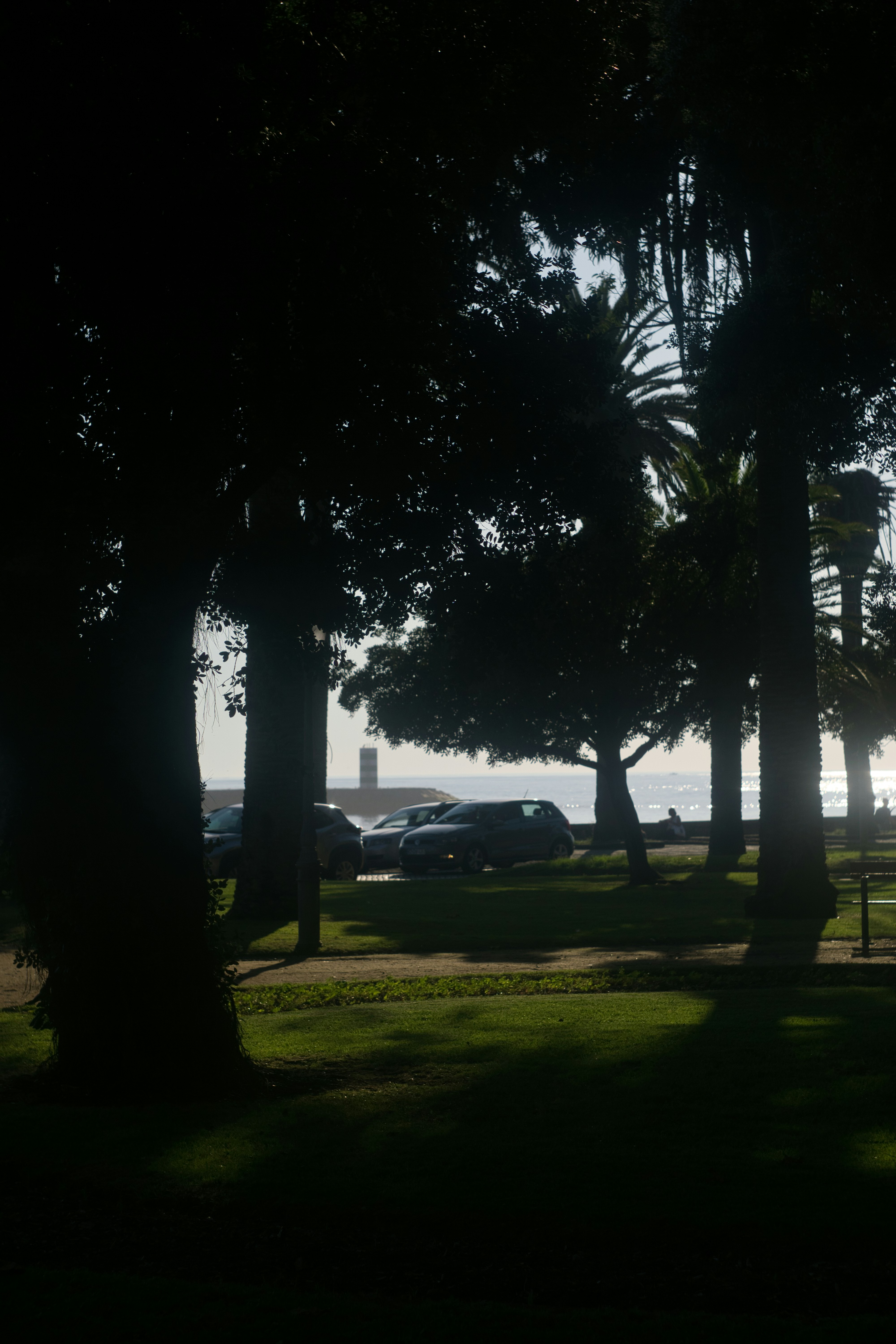 Waimea Bay Beach Park photo 2