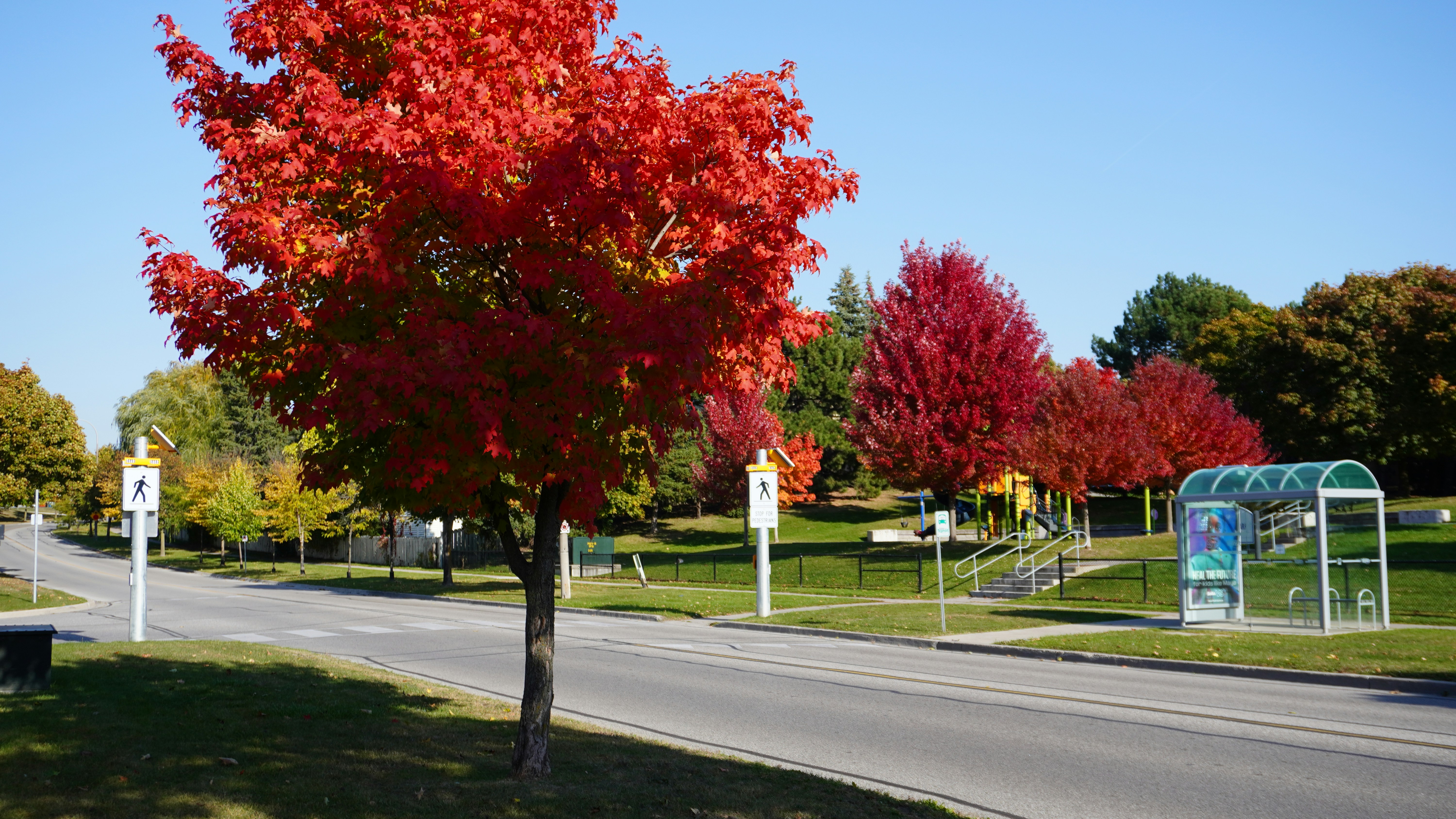 Photo by shariqbakshi