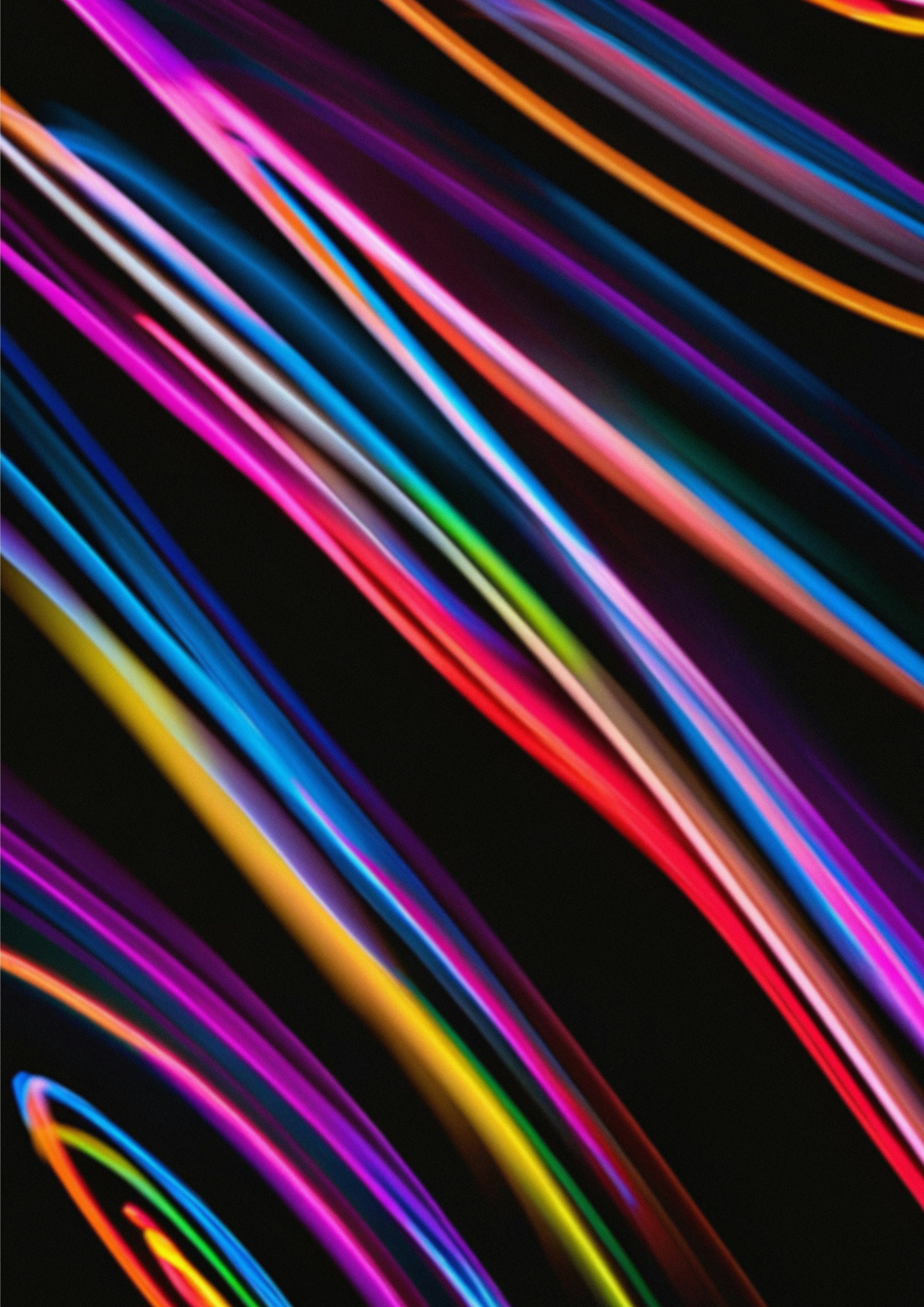 Photo by dana_goshen