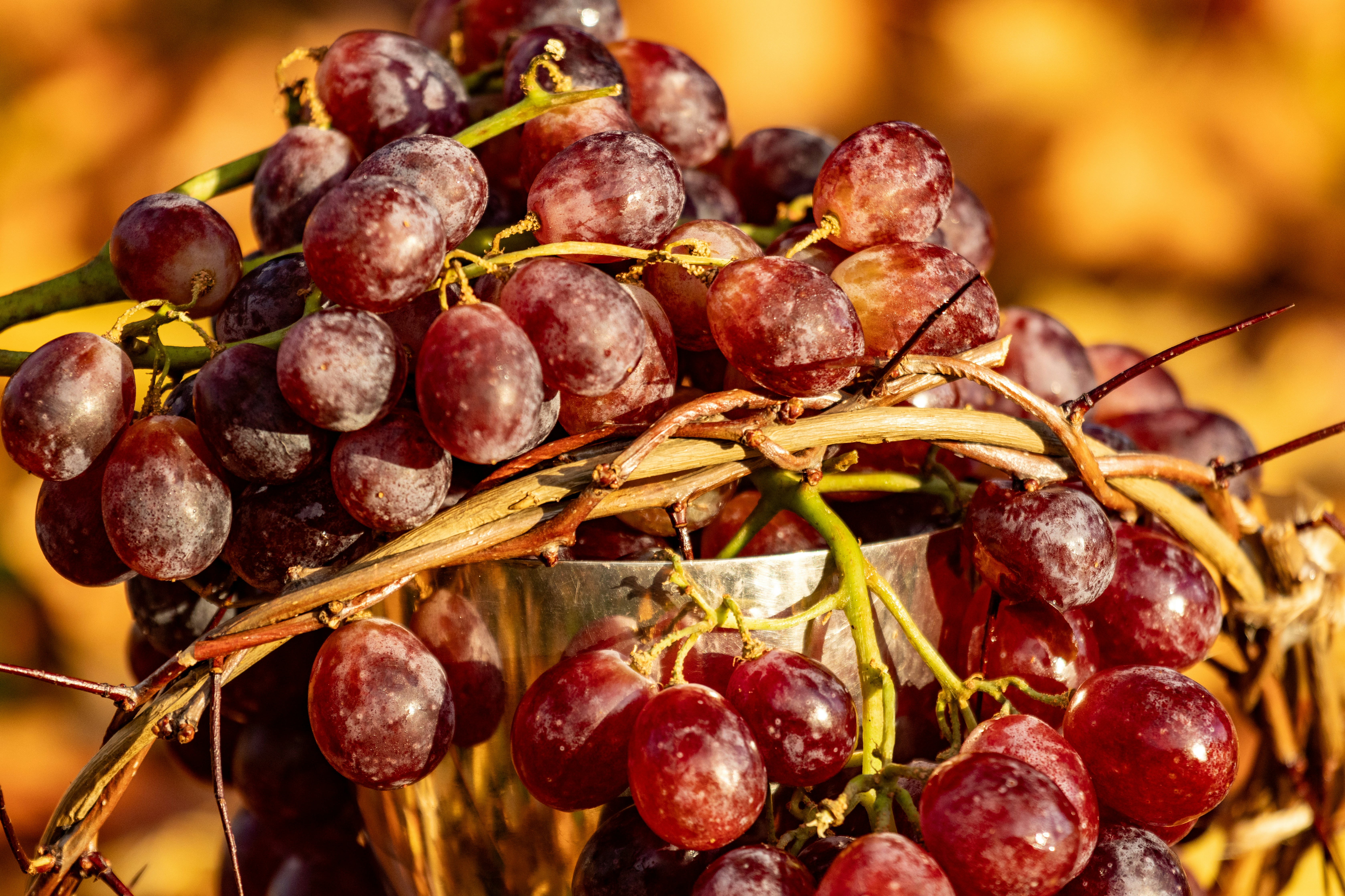 A bunch of grapes sitting on top of a basket