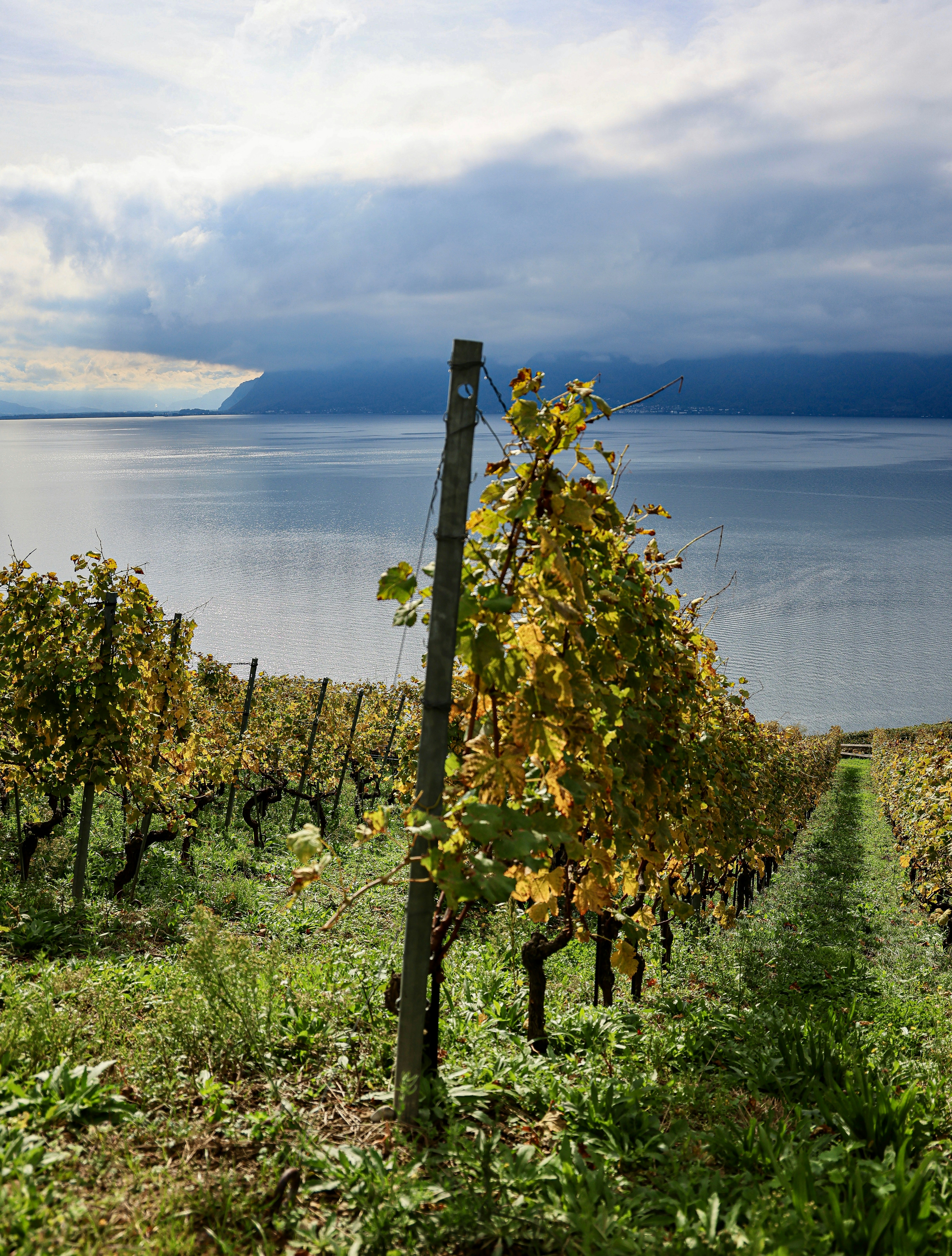 Photo by maximilian_brand