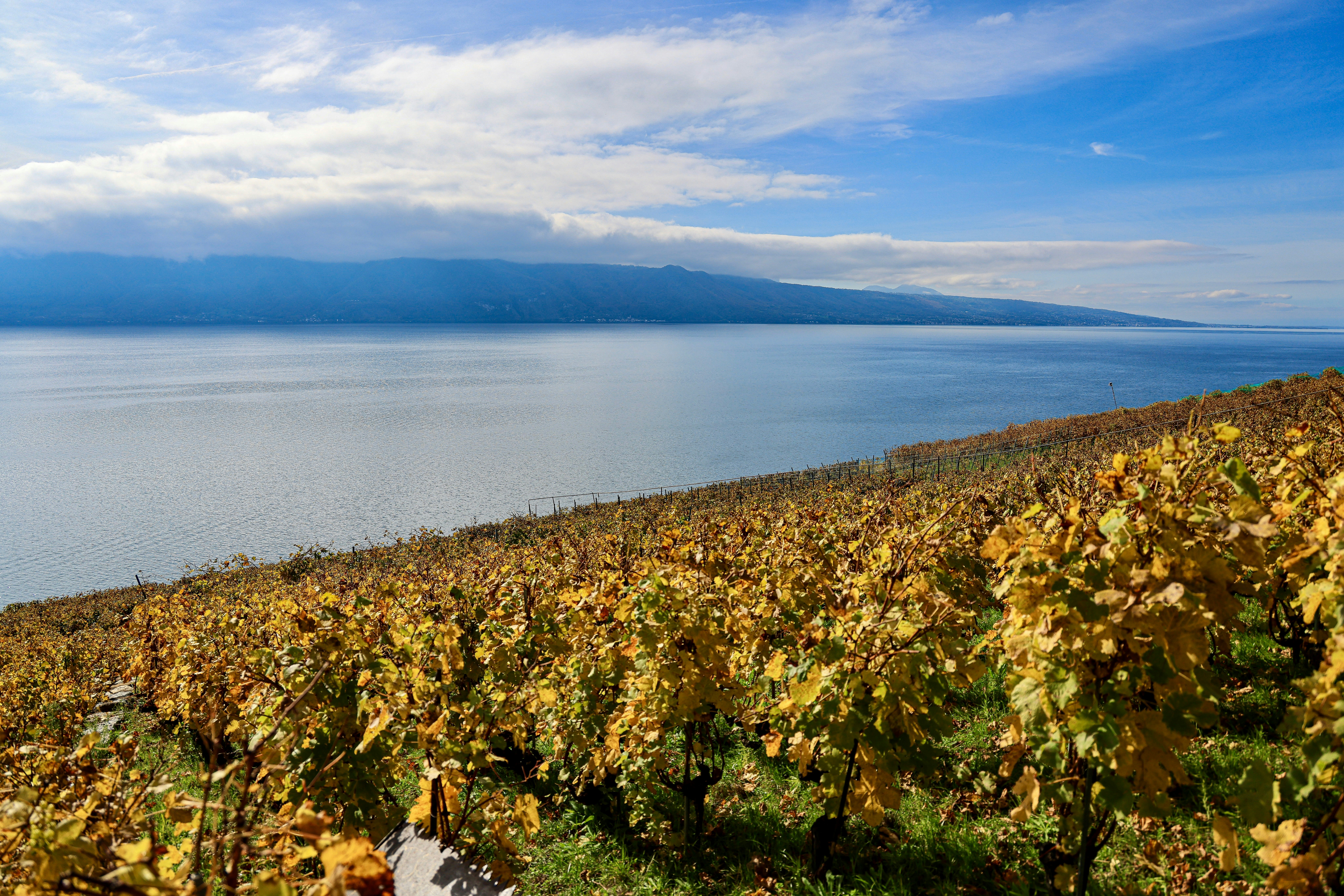 Image by airbr3ak3r.zh via Unsplash