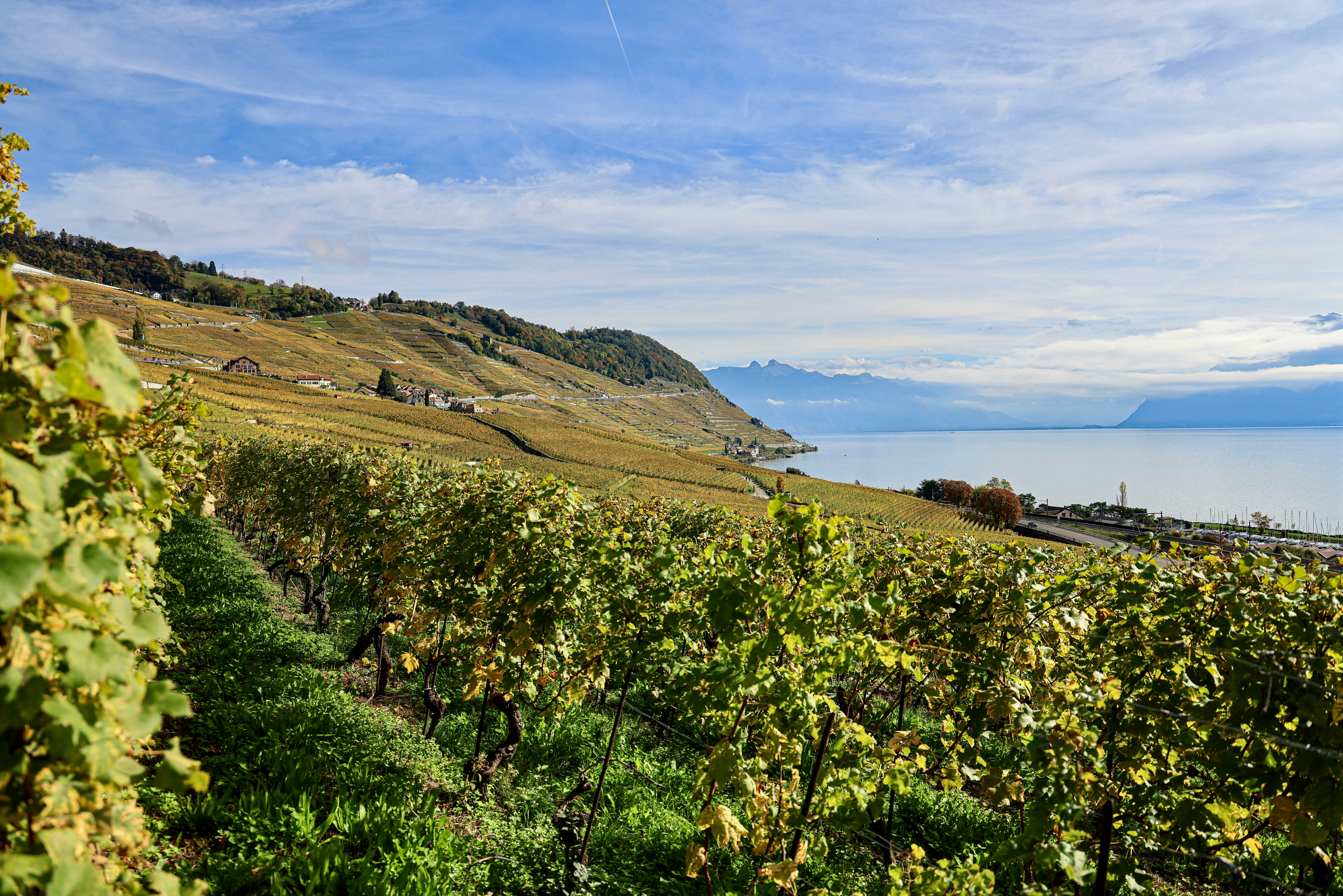 Photo by maximilian_brand