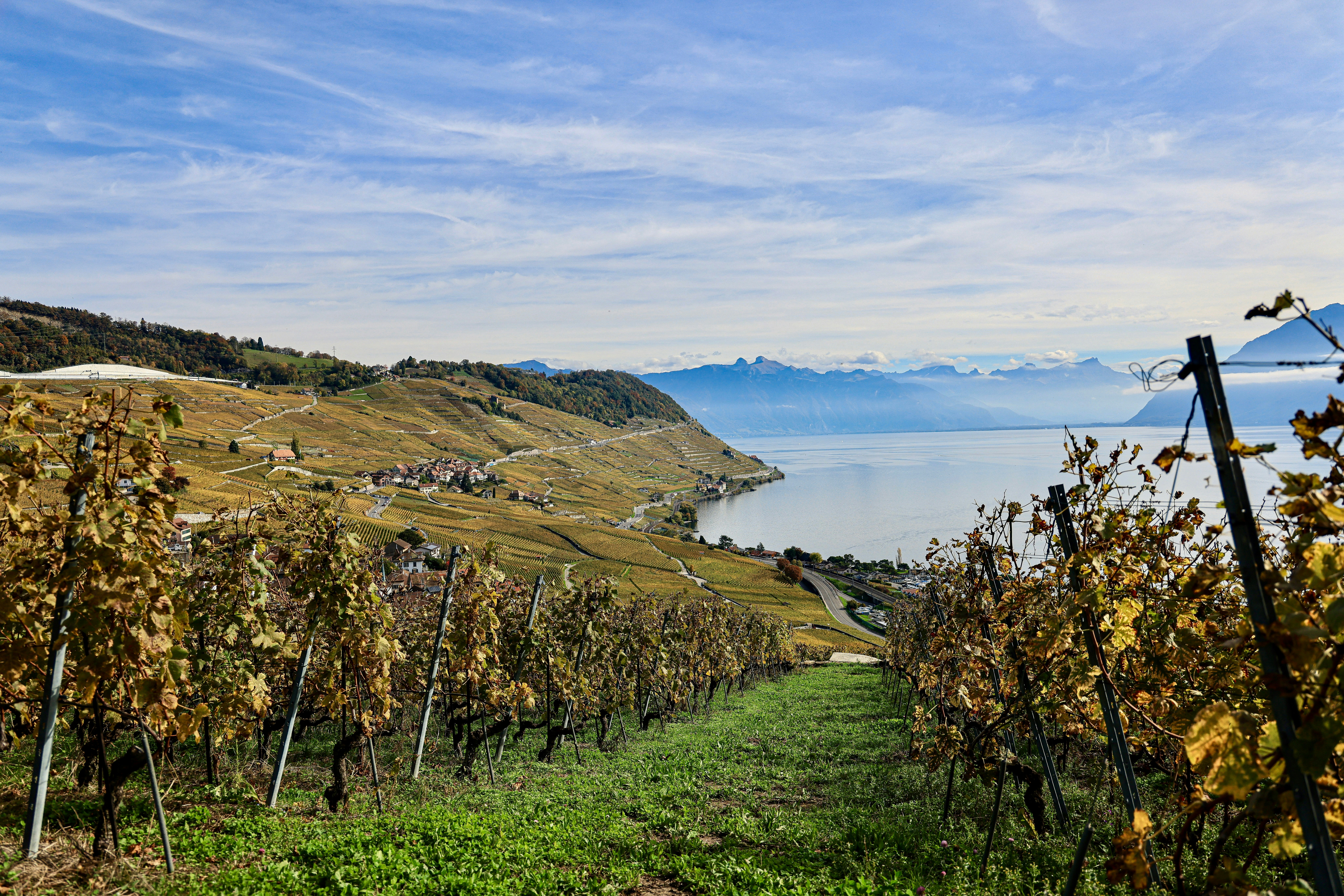 Photo by maximilian_brand