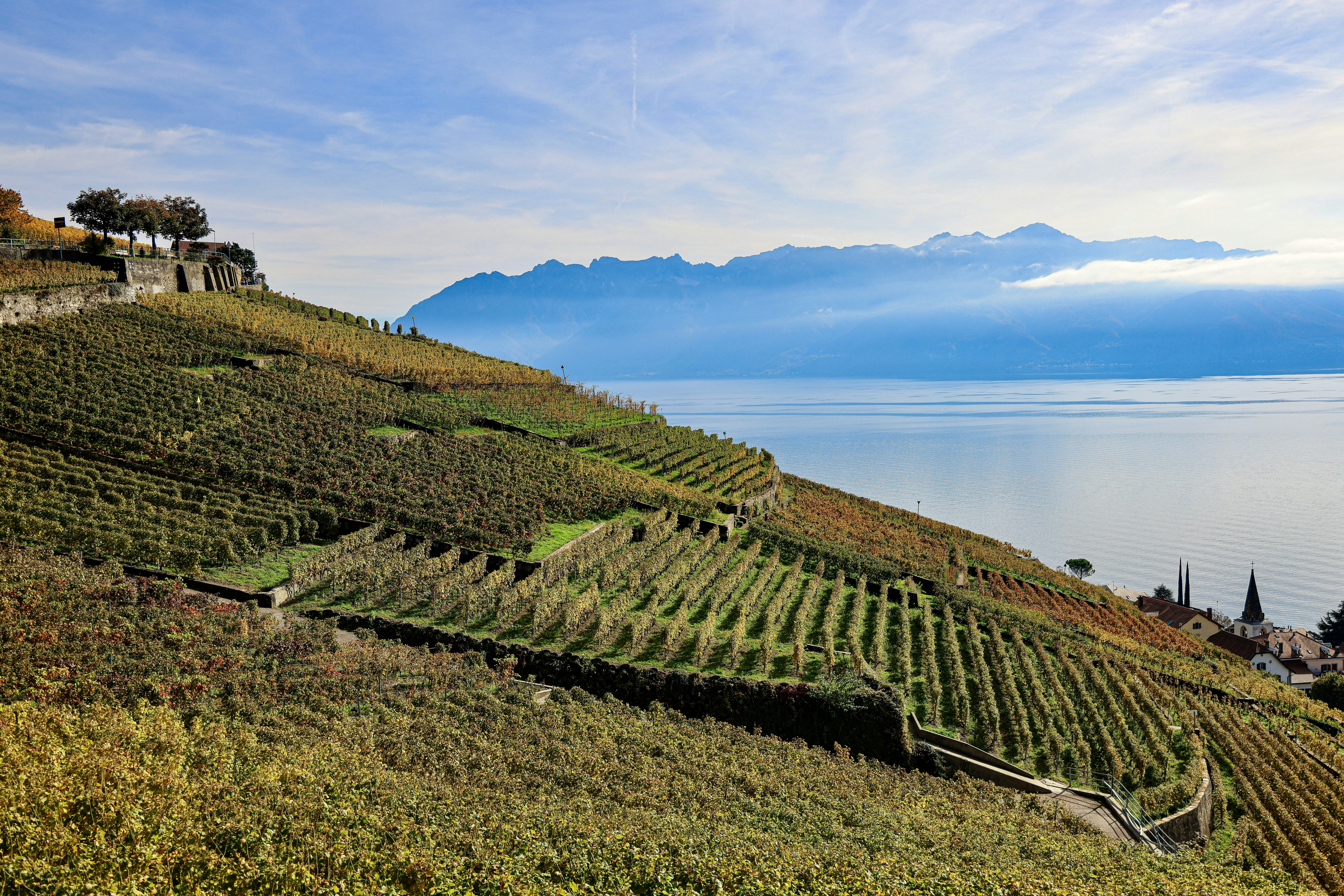 Photo by maximilian_brand