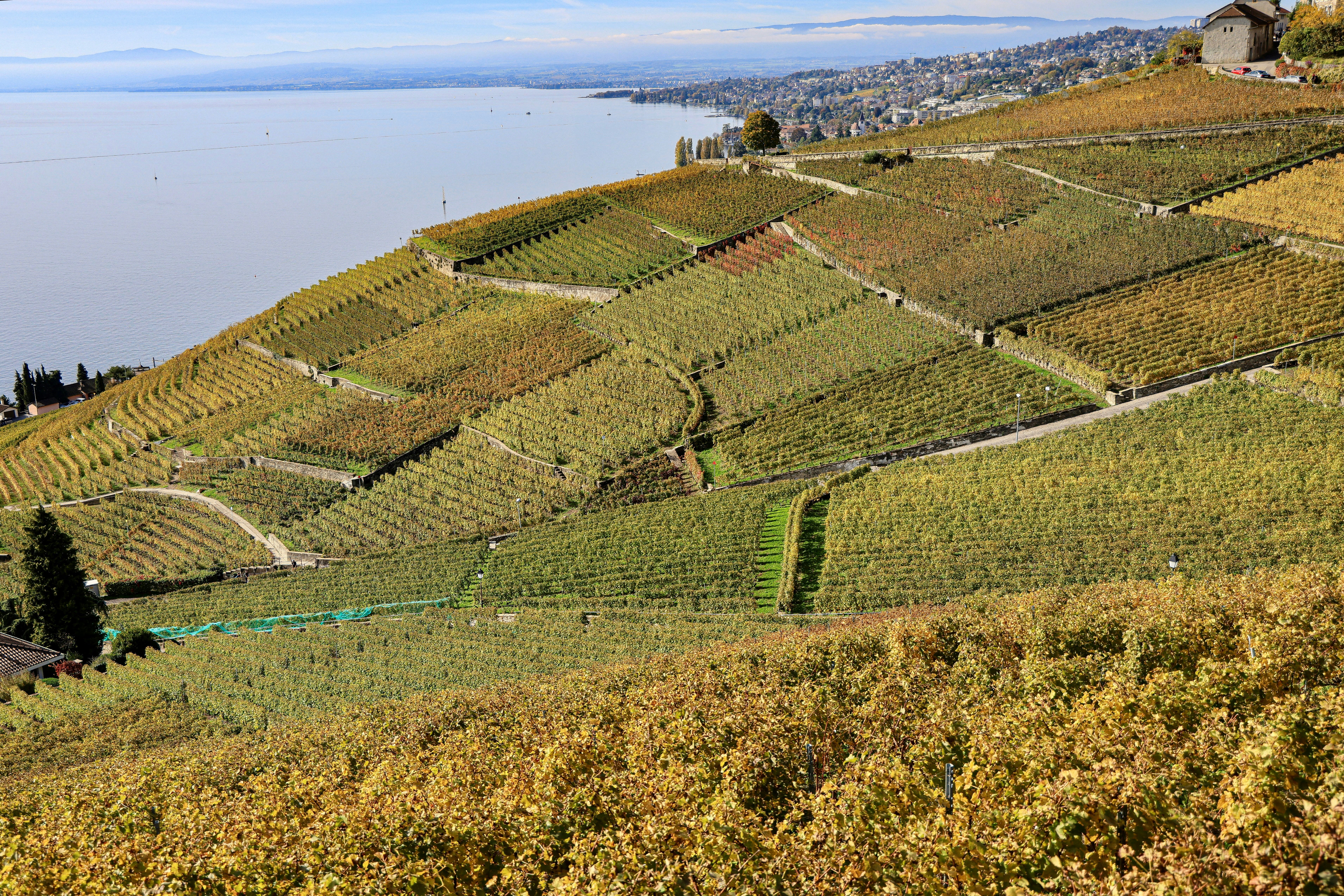 Photo by maximilian_brand