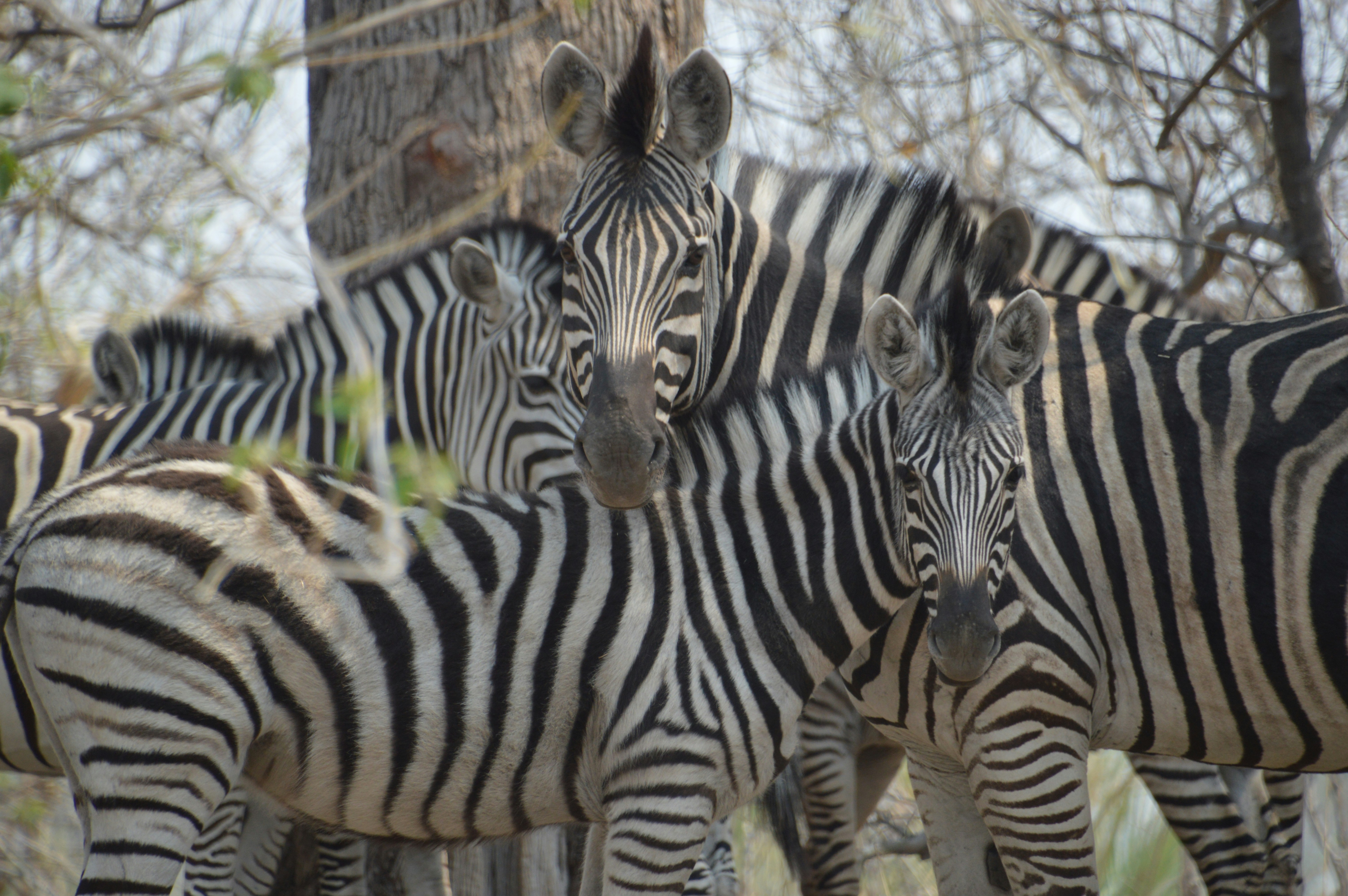 Photo by adventureanni