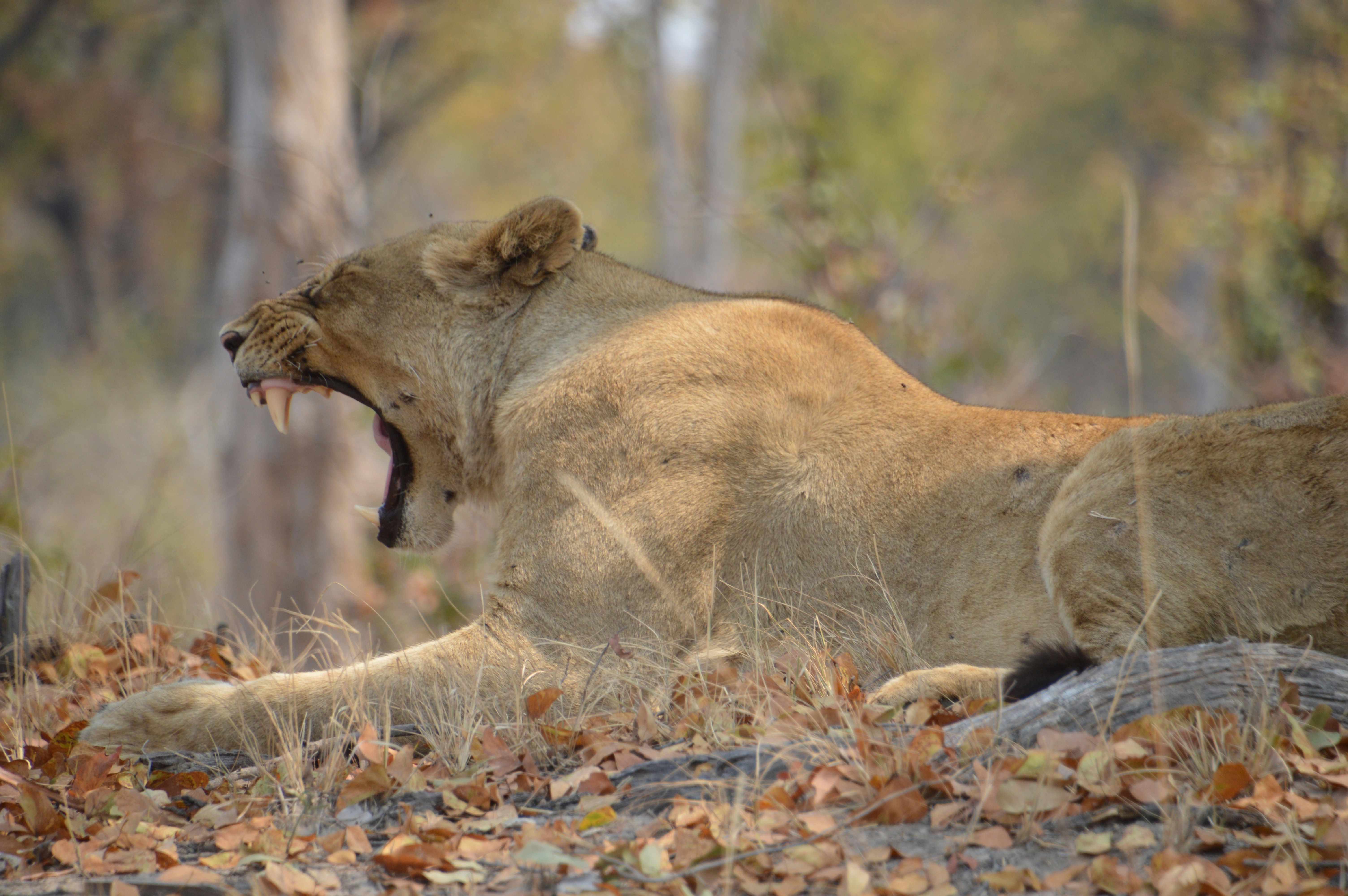 Photo by adventureanni