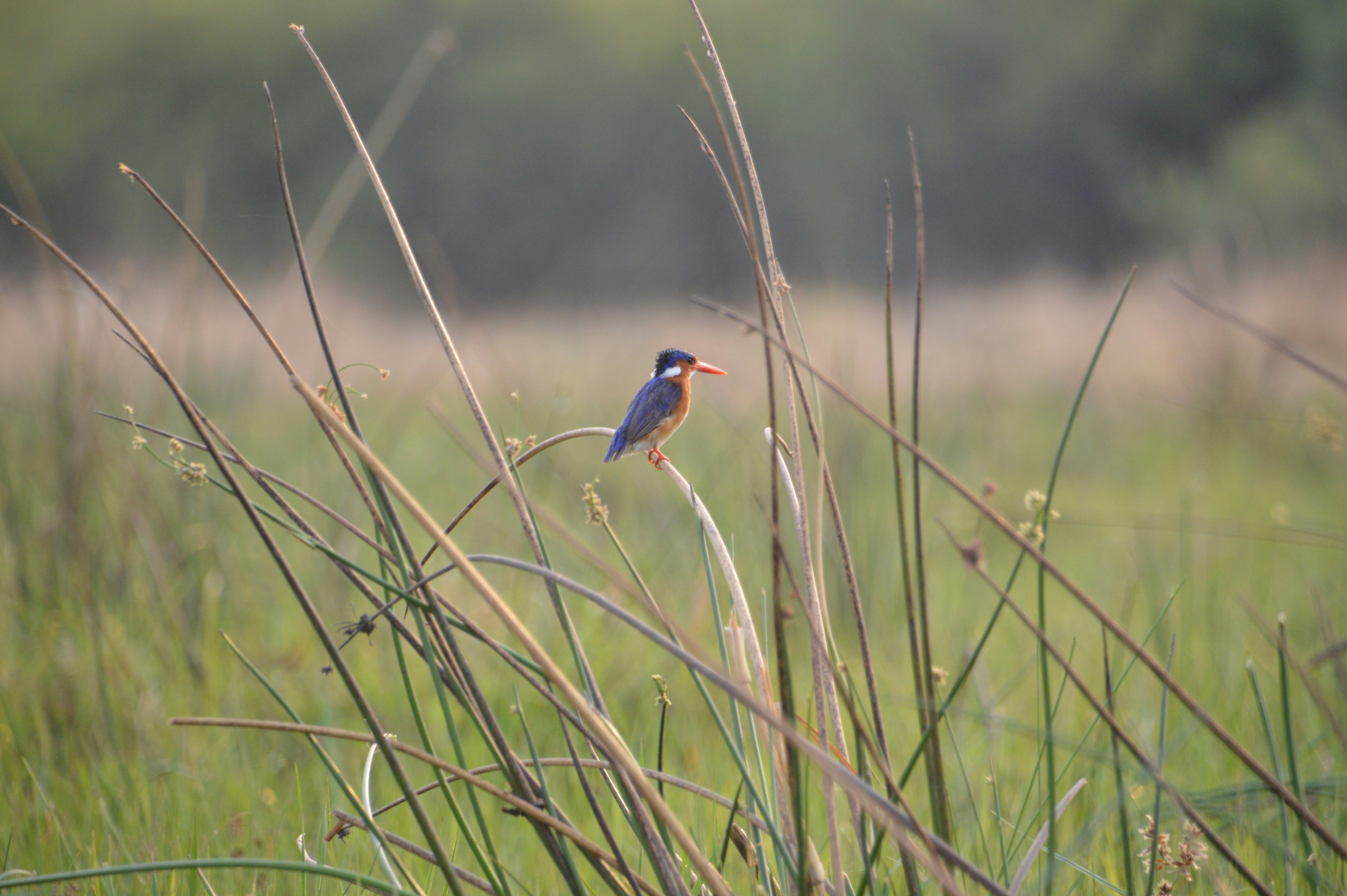 Photo by adventureanni