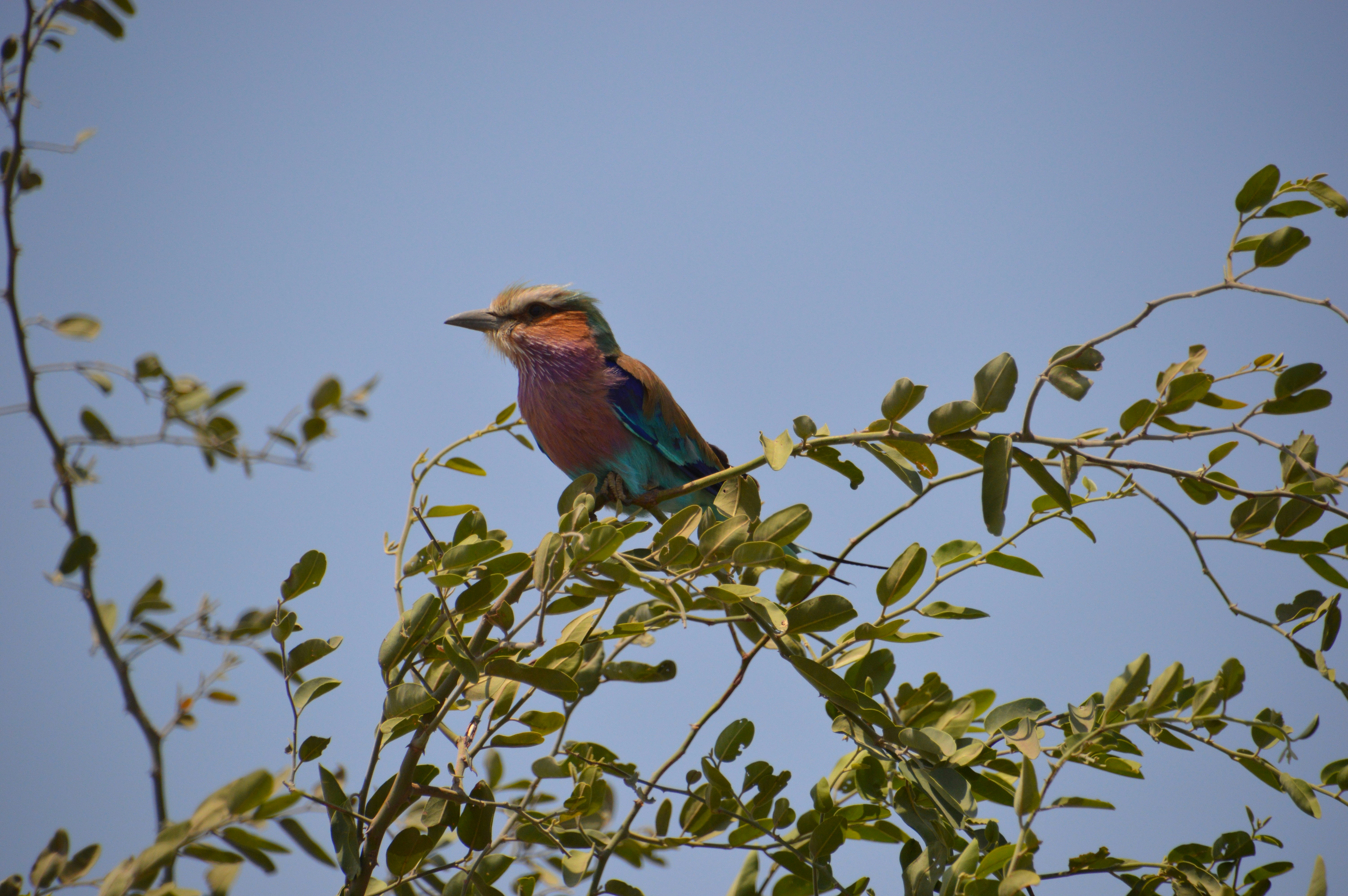 Photo by adventureanni