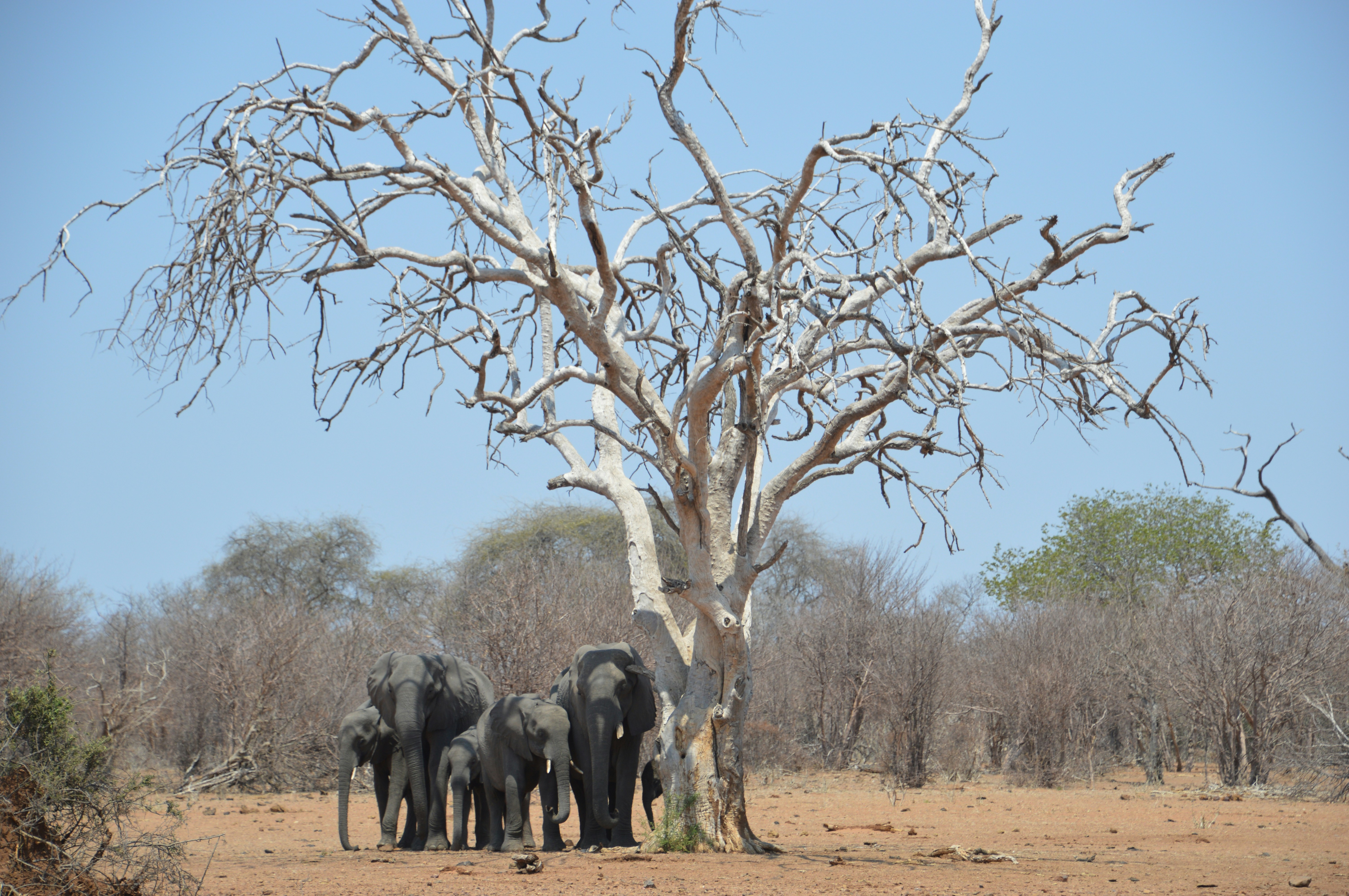 Photo by adventureanni