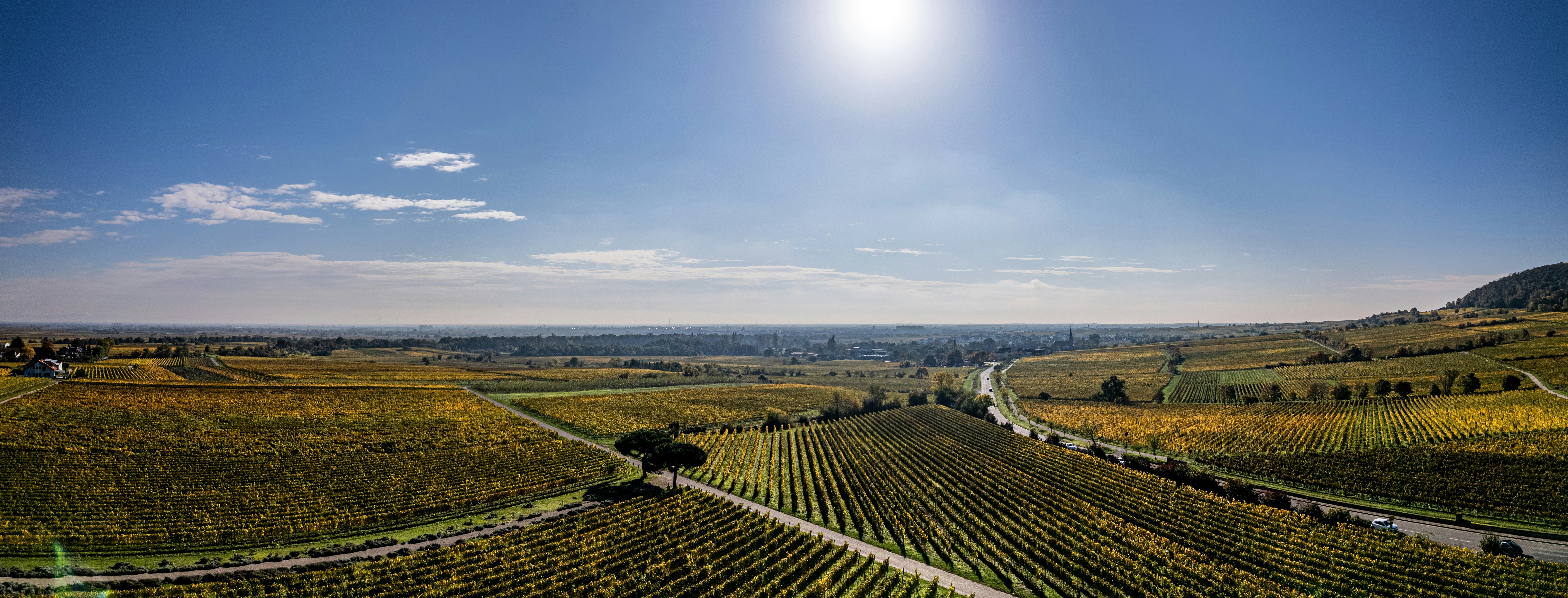 Engaging Wine Experiences: What to Expect at Sonoma Wineries