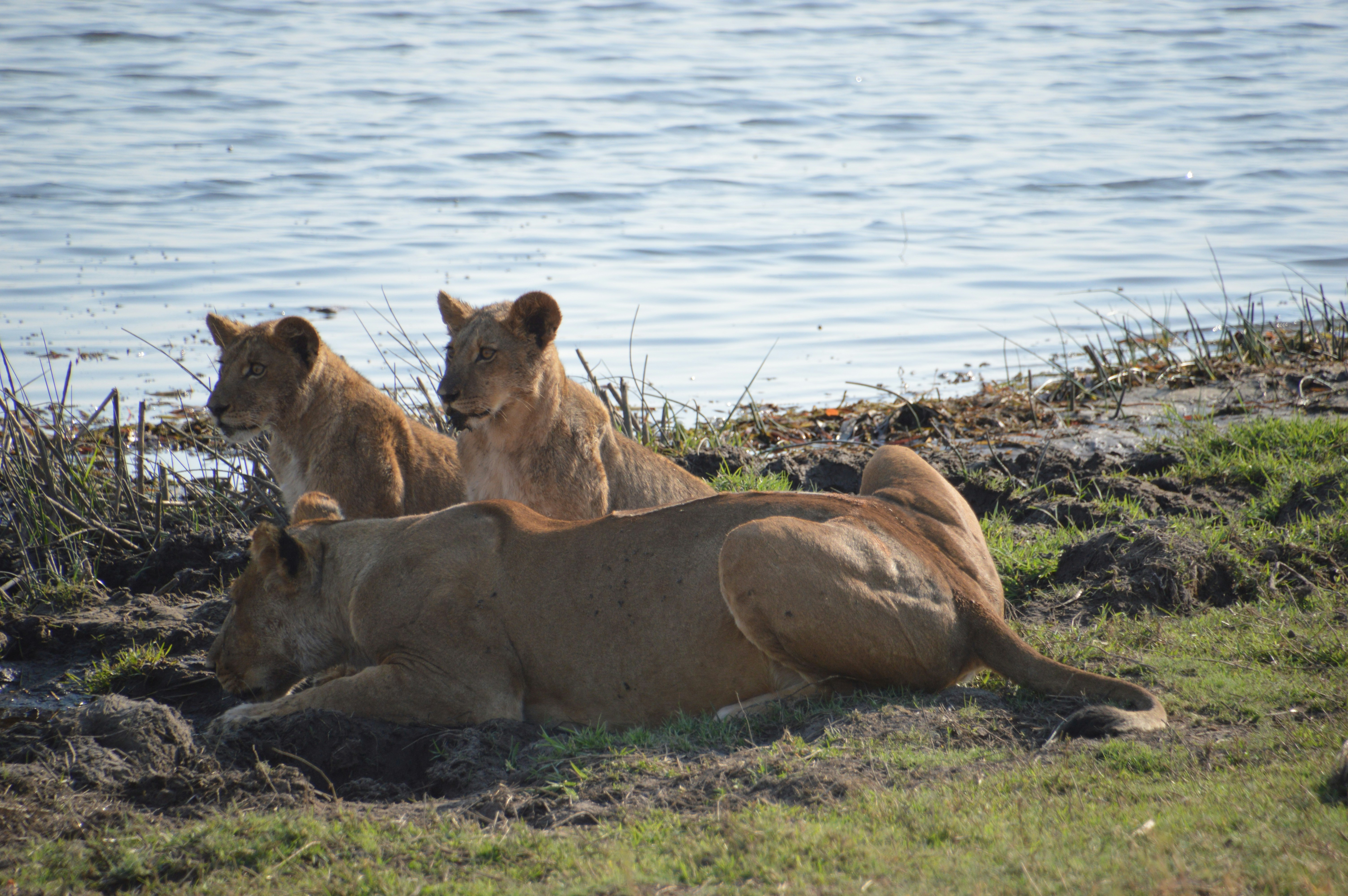 Photo by adventureanni