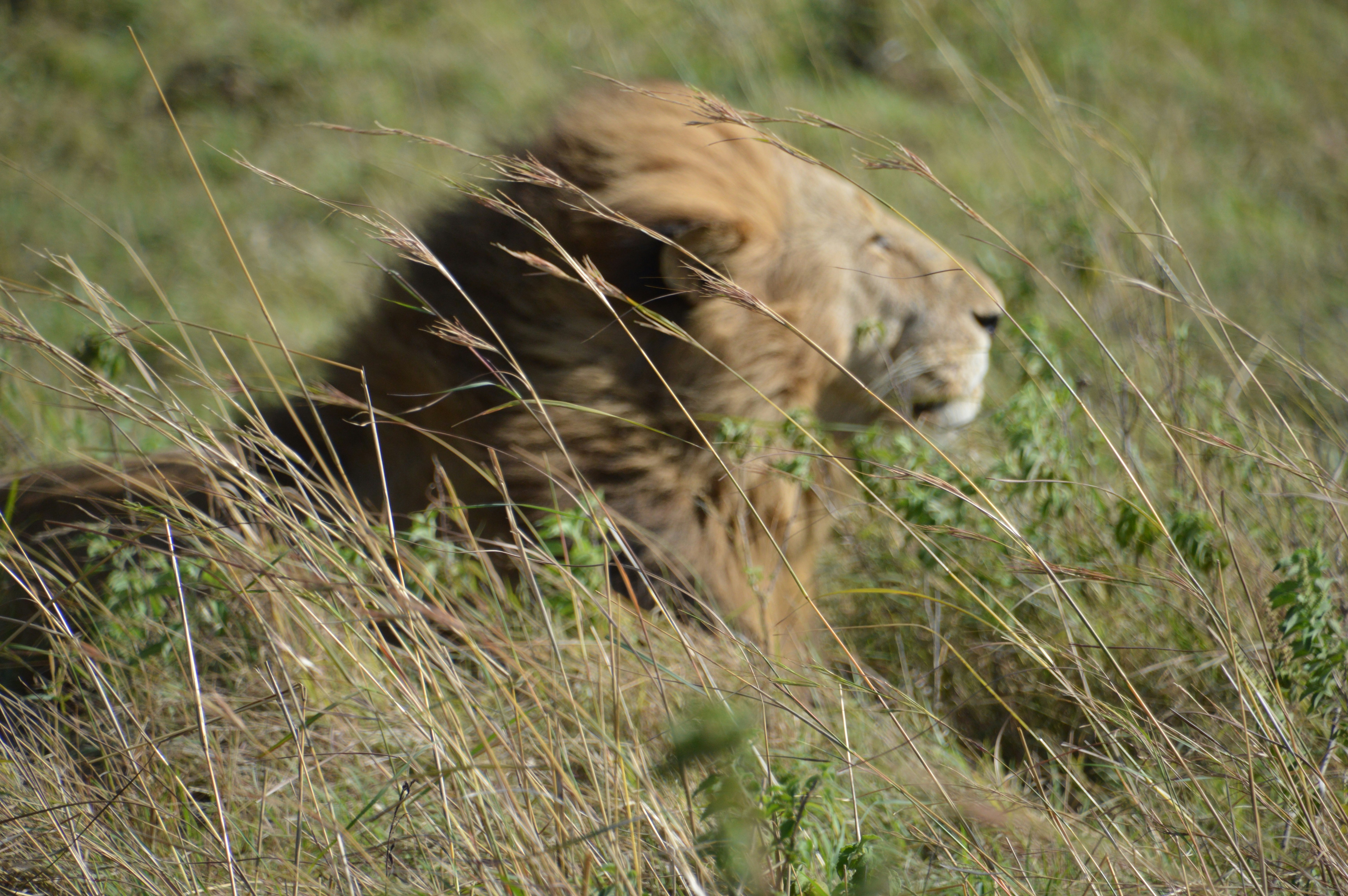 Photo by adventureanni