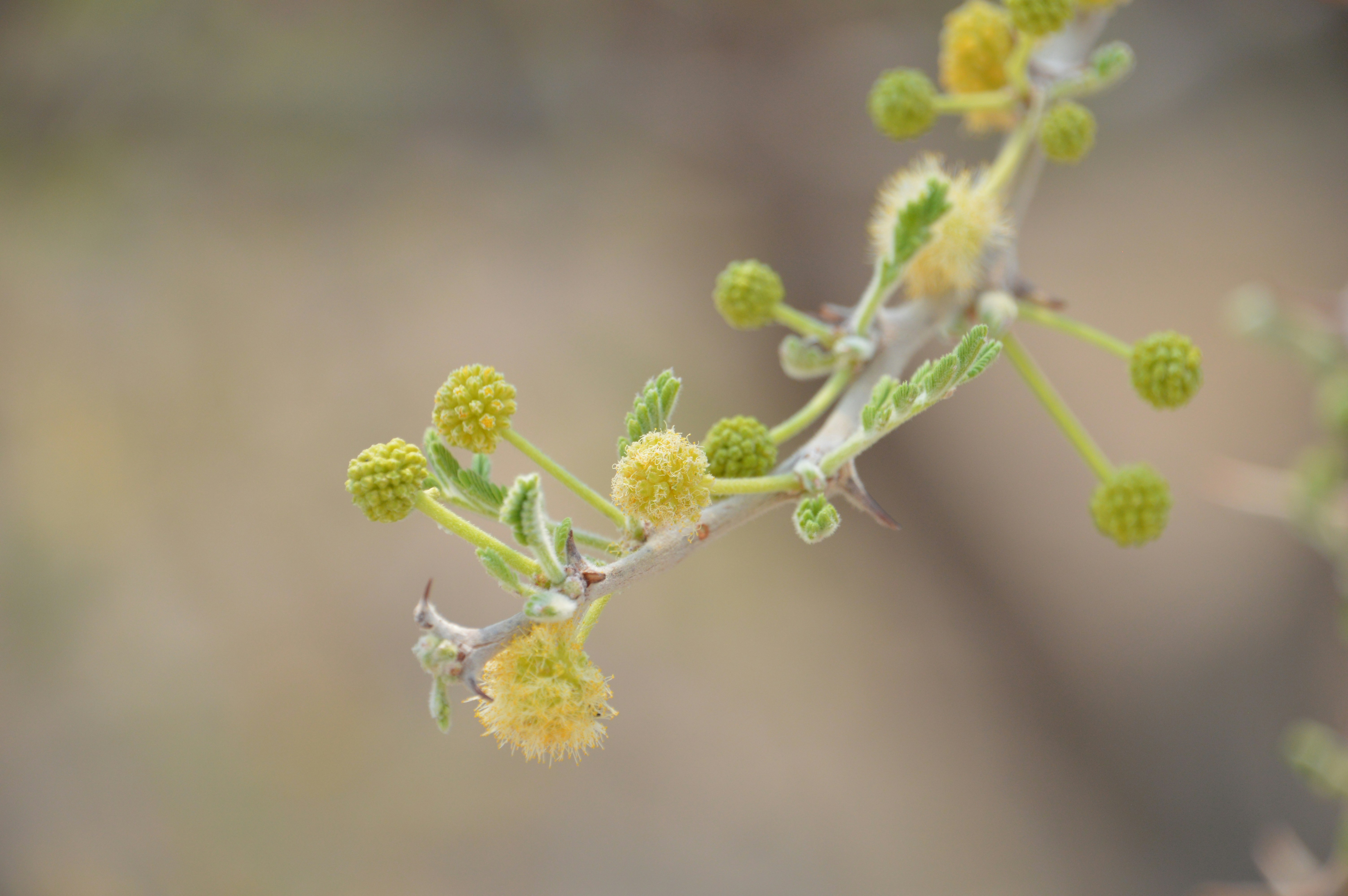 Photo by adventureanni