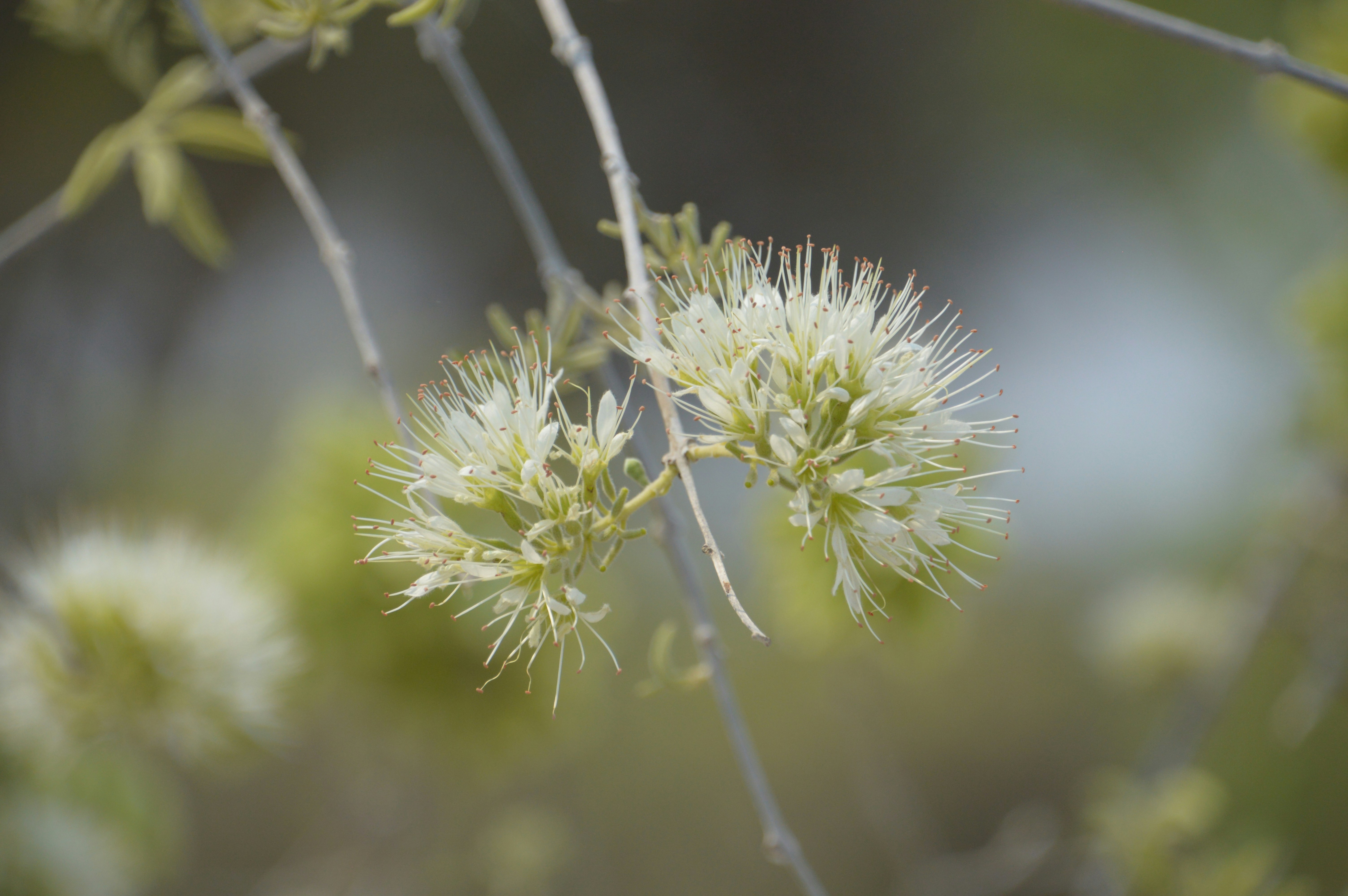 Photo by adventureanni