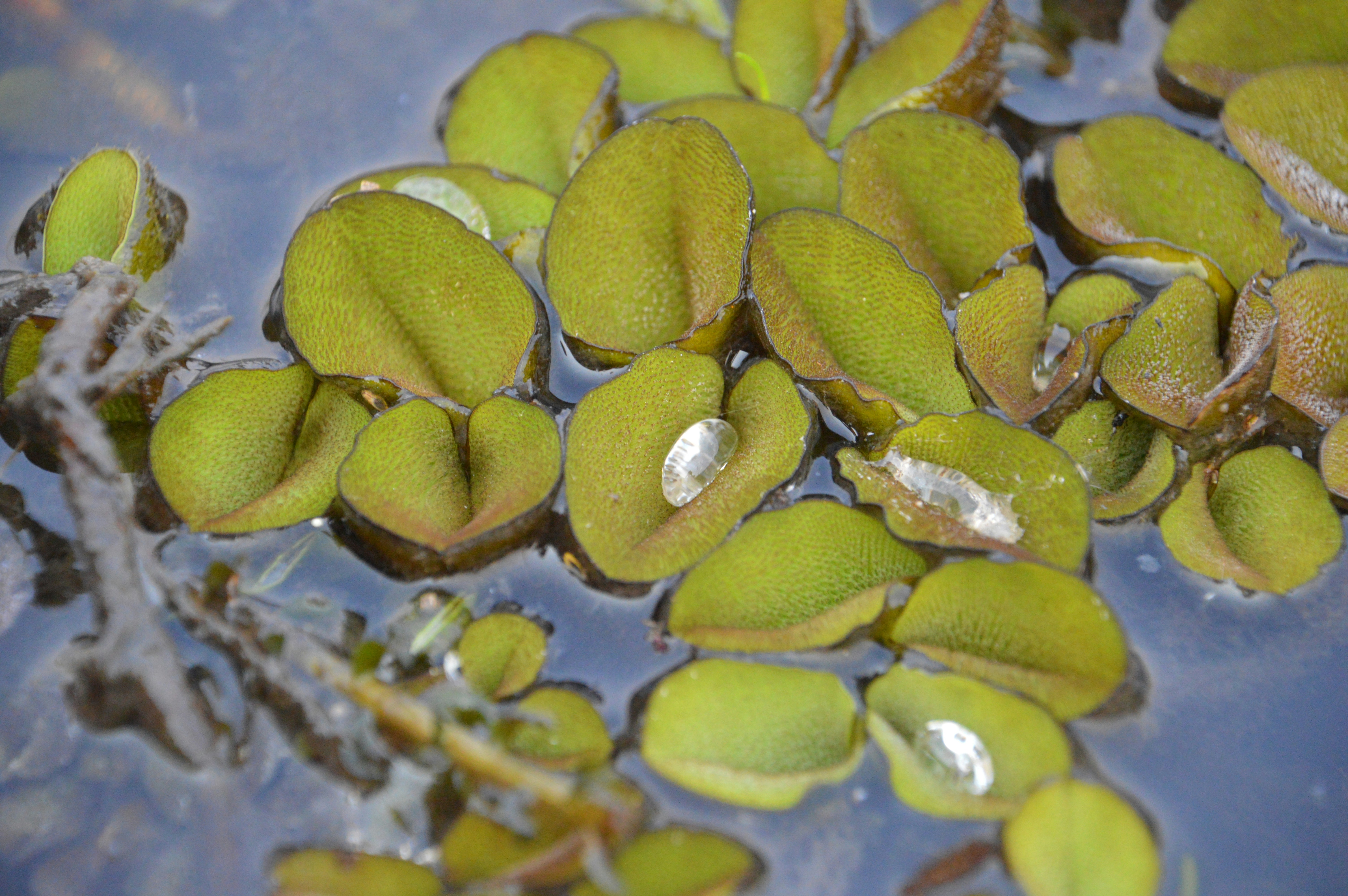 Photo by adventureanni