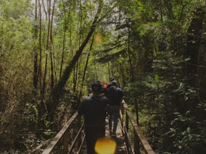 A group of people walking across a wooden bridge