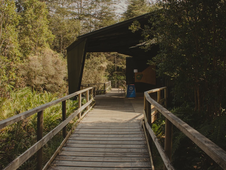 A wooden walkway leads to a covered walkway