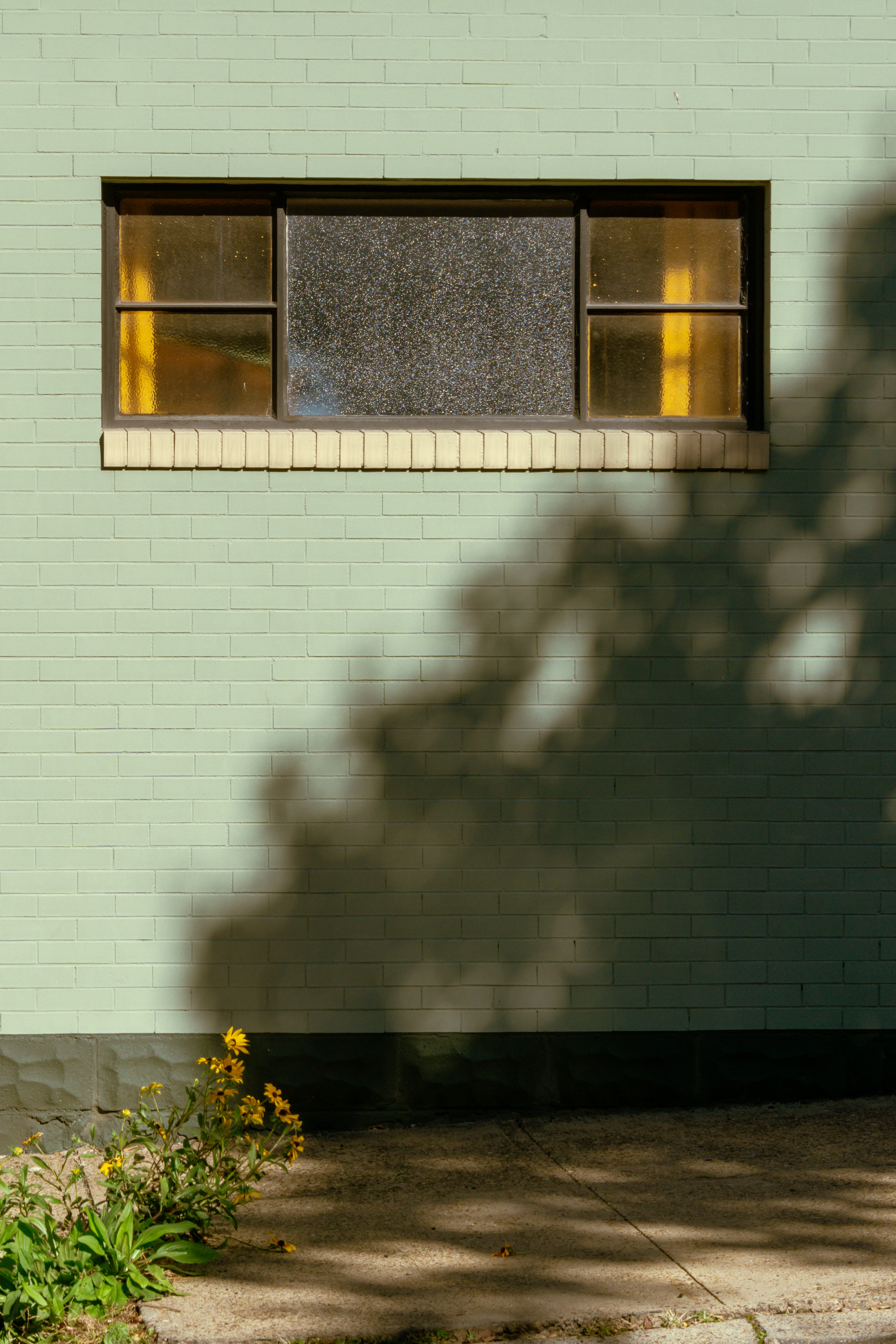 Photo by zhenyao_photo