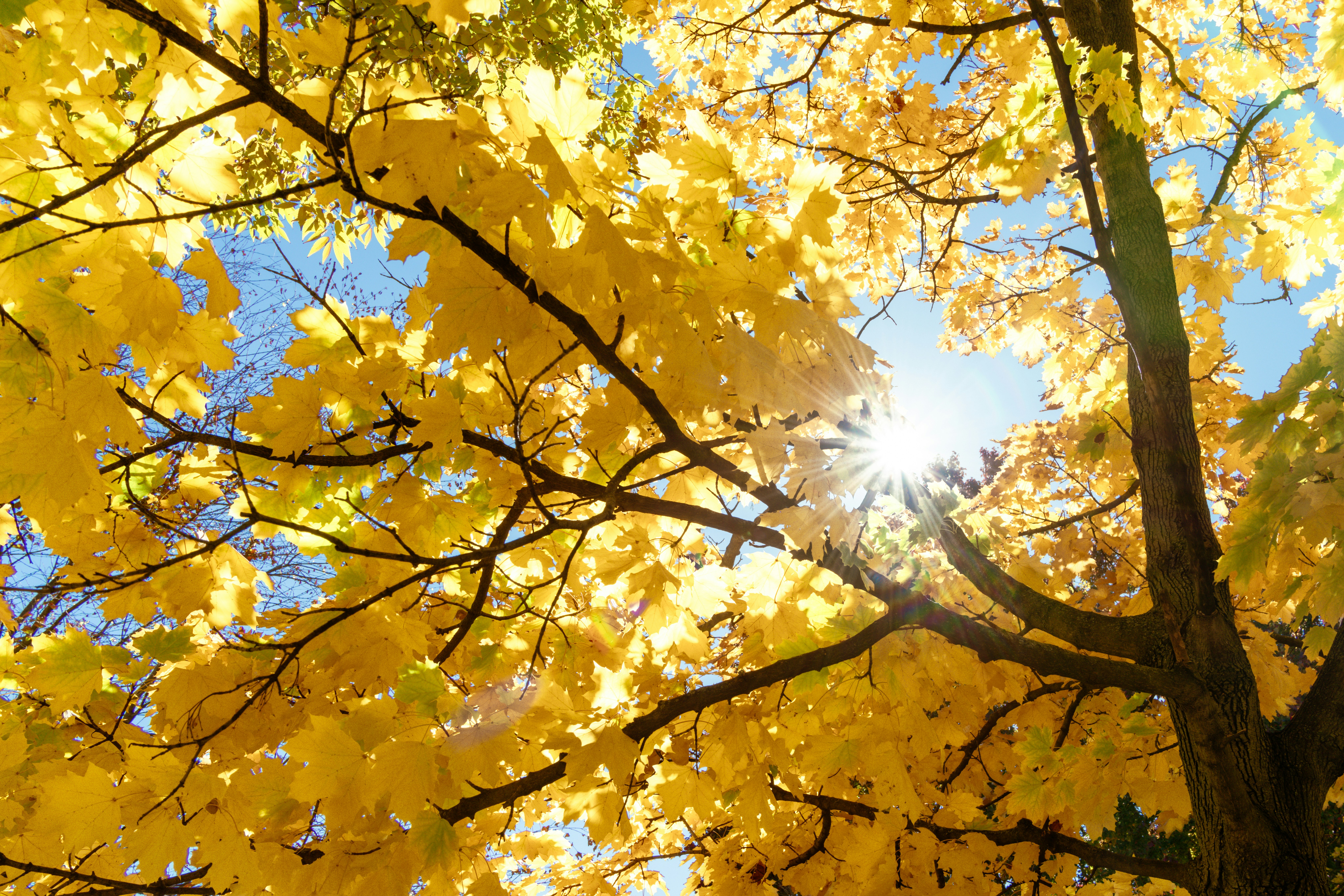 Photo by zhenyao_photo