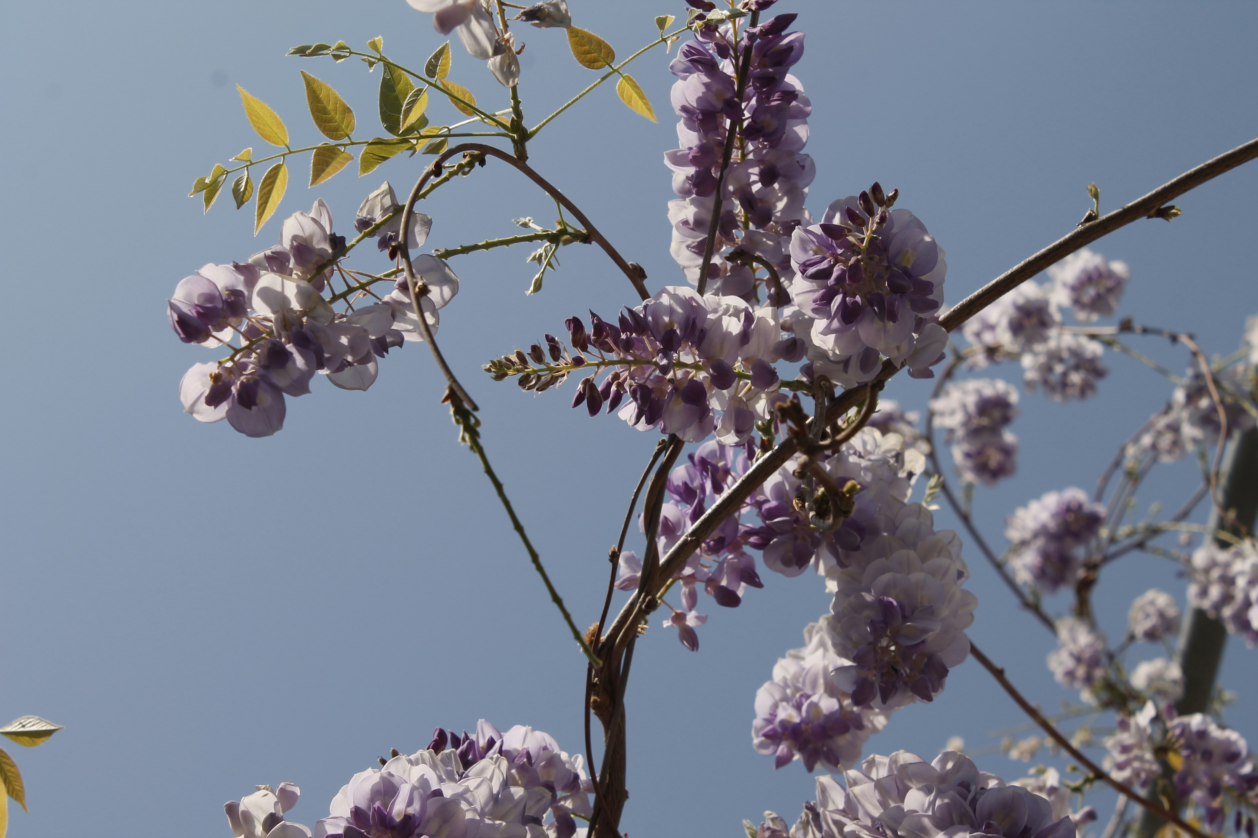 Photo by pantoneasel