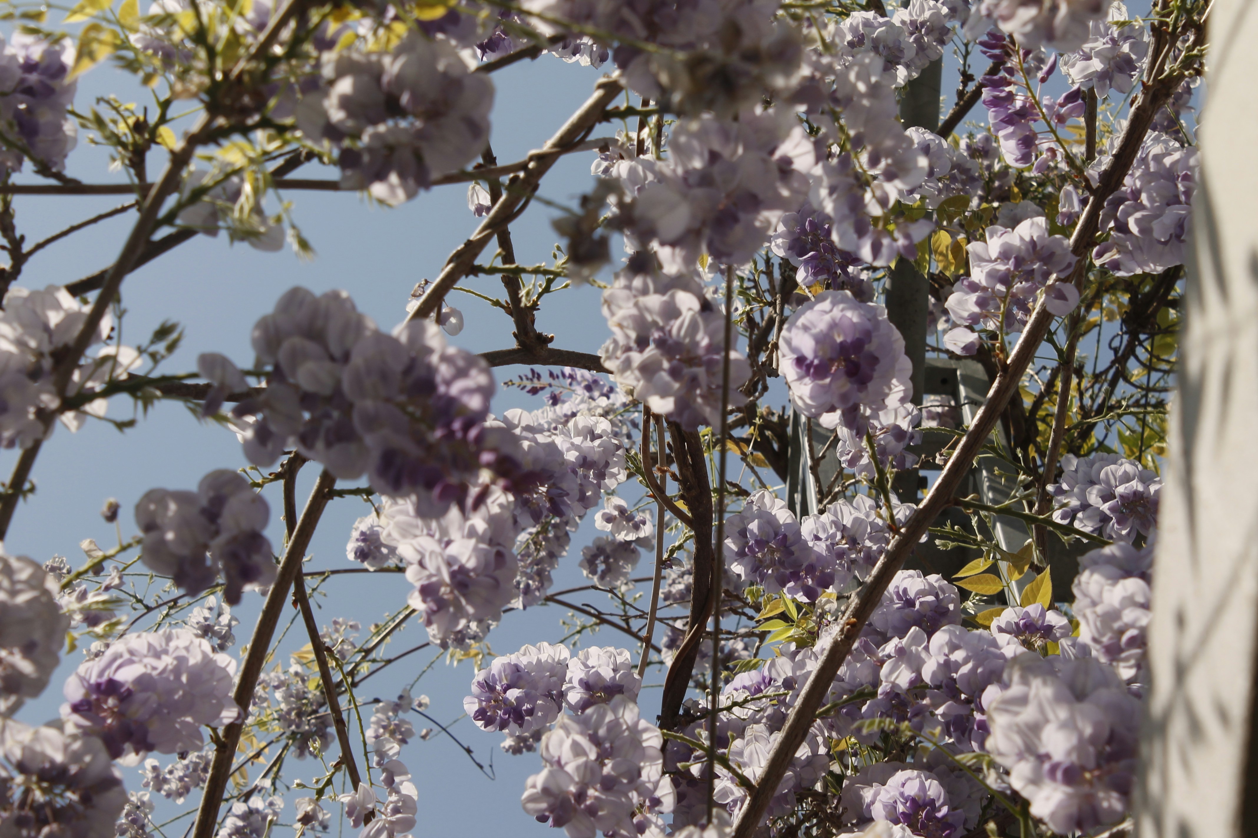 Photo by pantoneasel