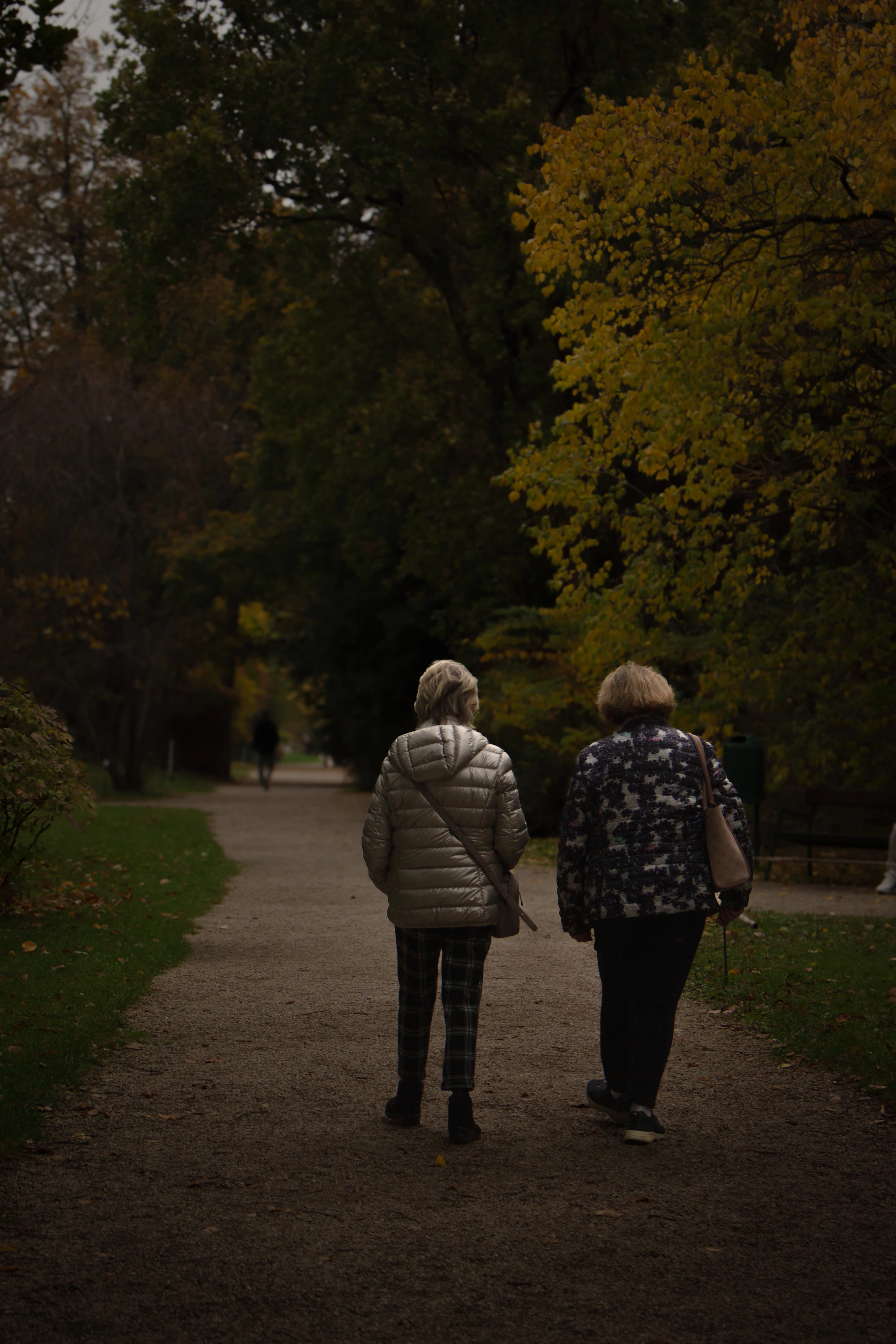 Two people walking down a path in a park